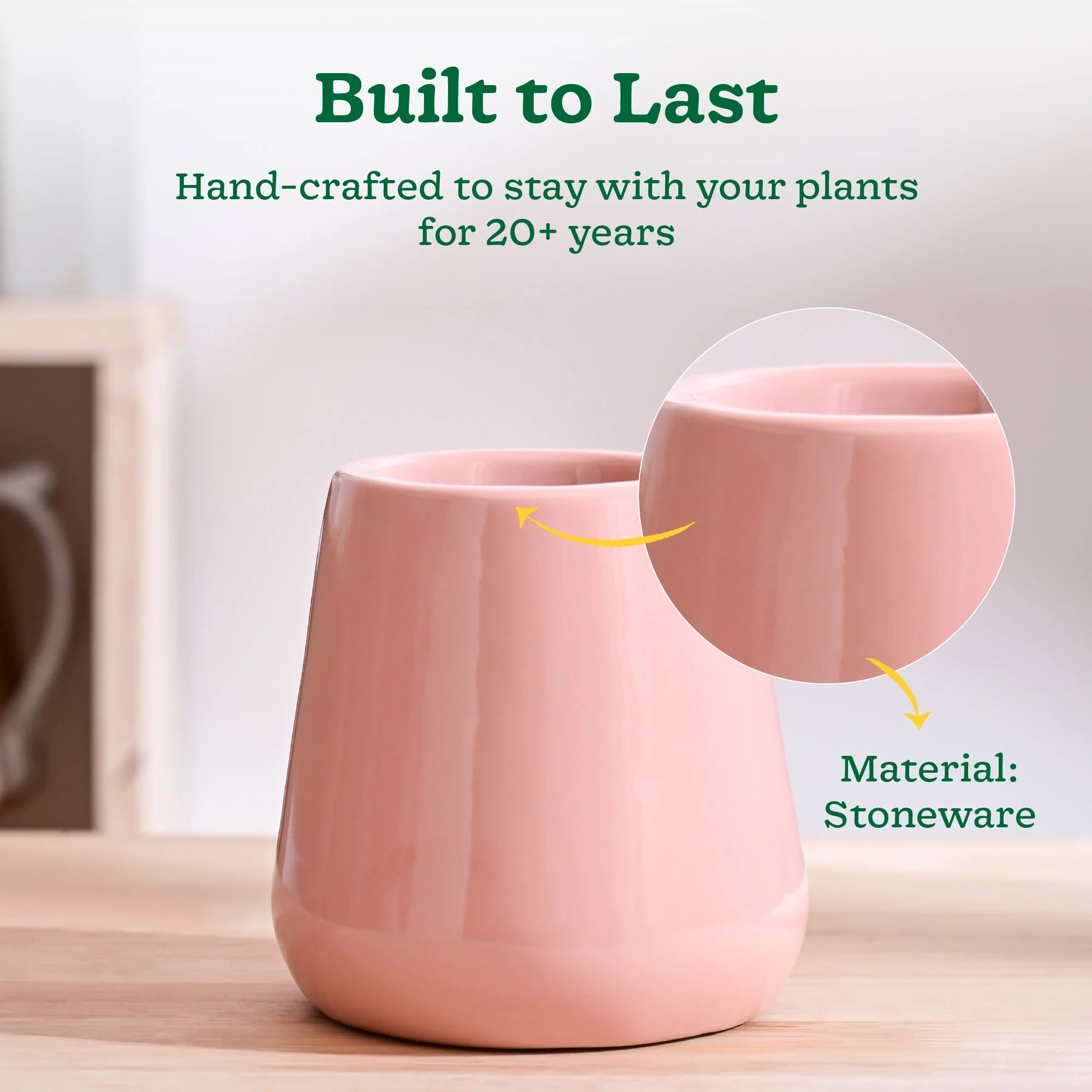 Tulip Fantasy Extra Small Ceramic Planter - Image 43