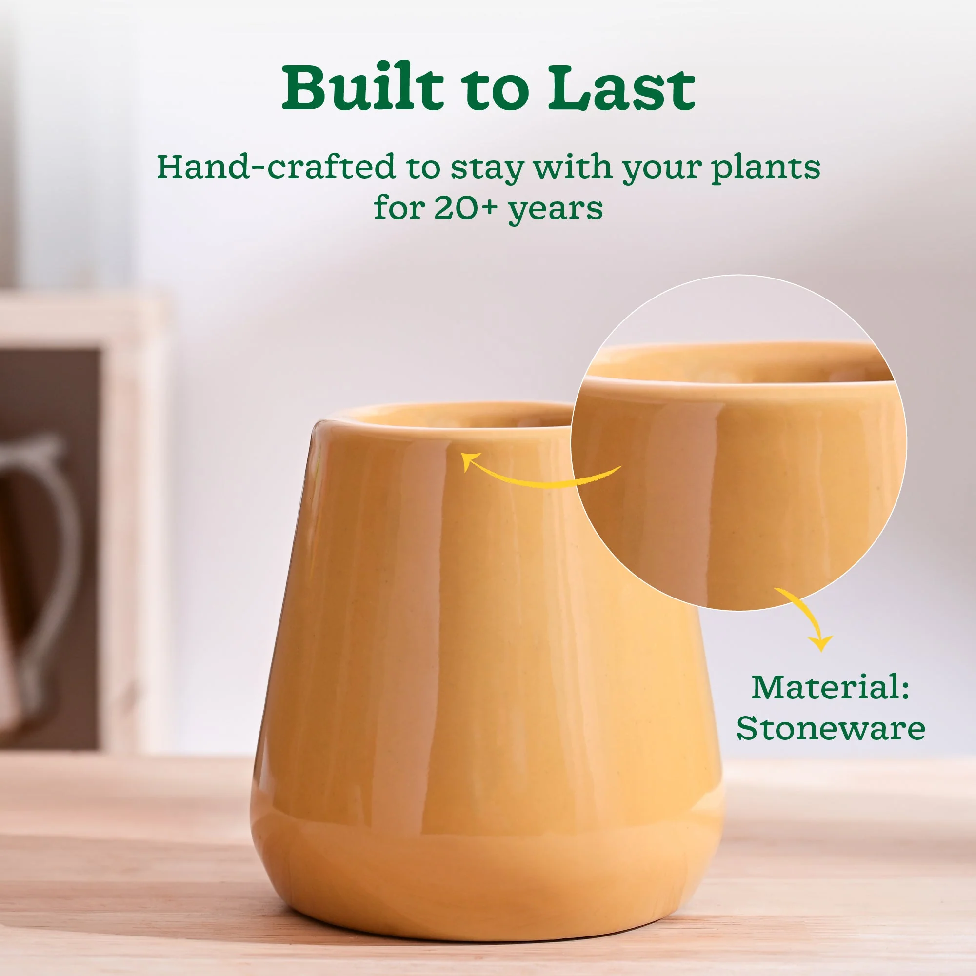 Tulip Fantasy Extra Small Ceramic Planter - Image 59