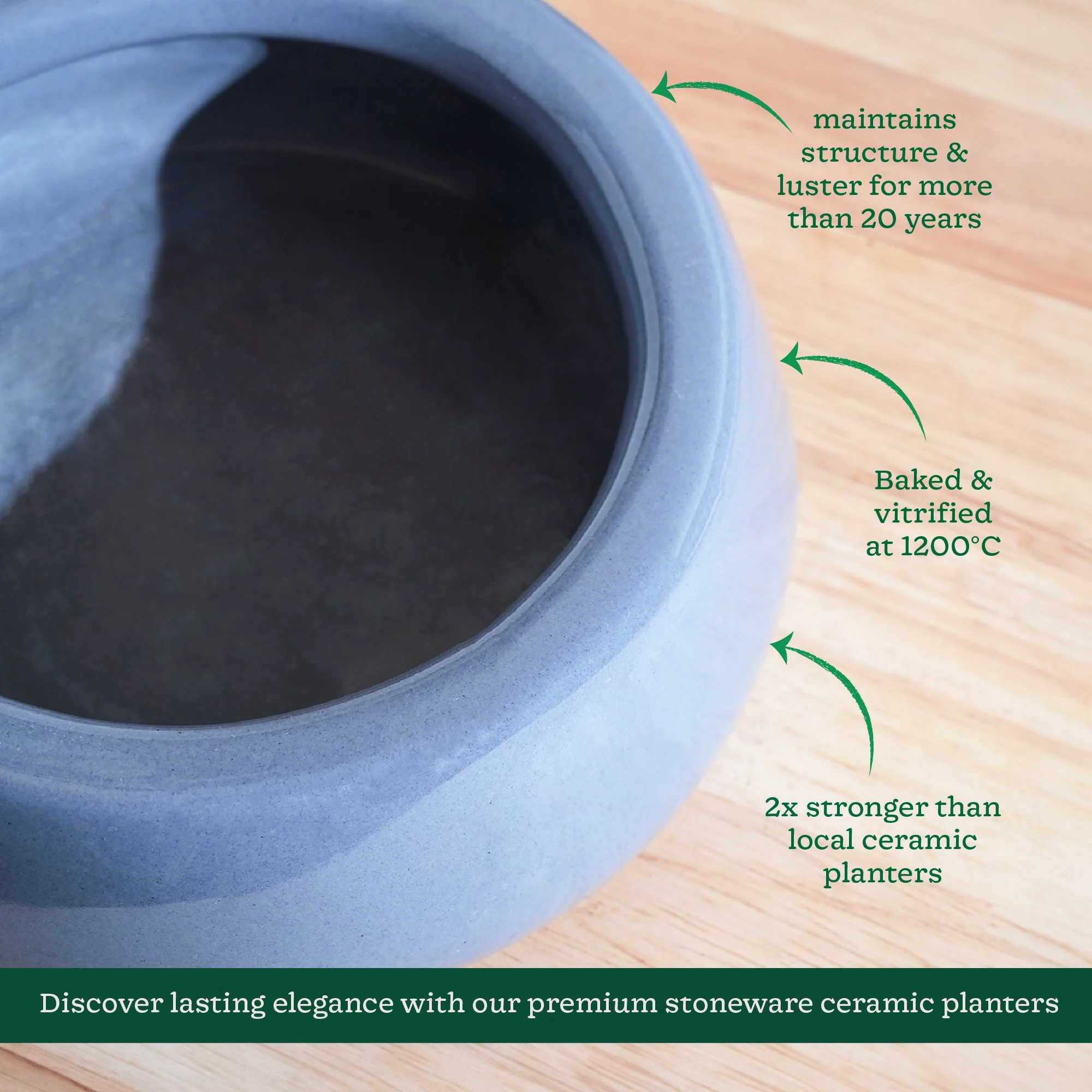Tulip Fantasy Flat Ceramic Planter - Image 13