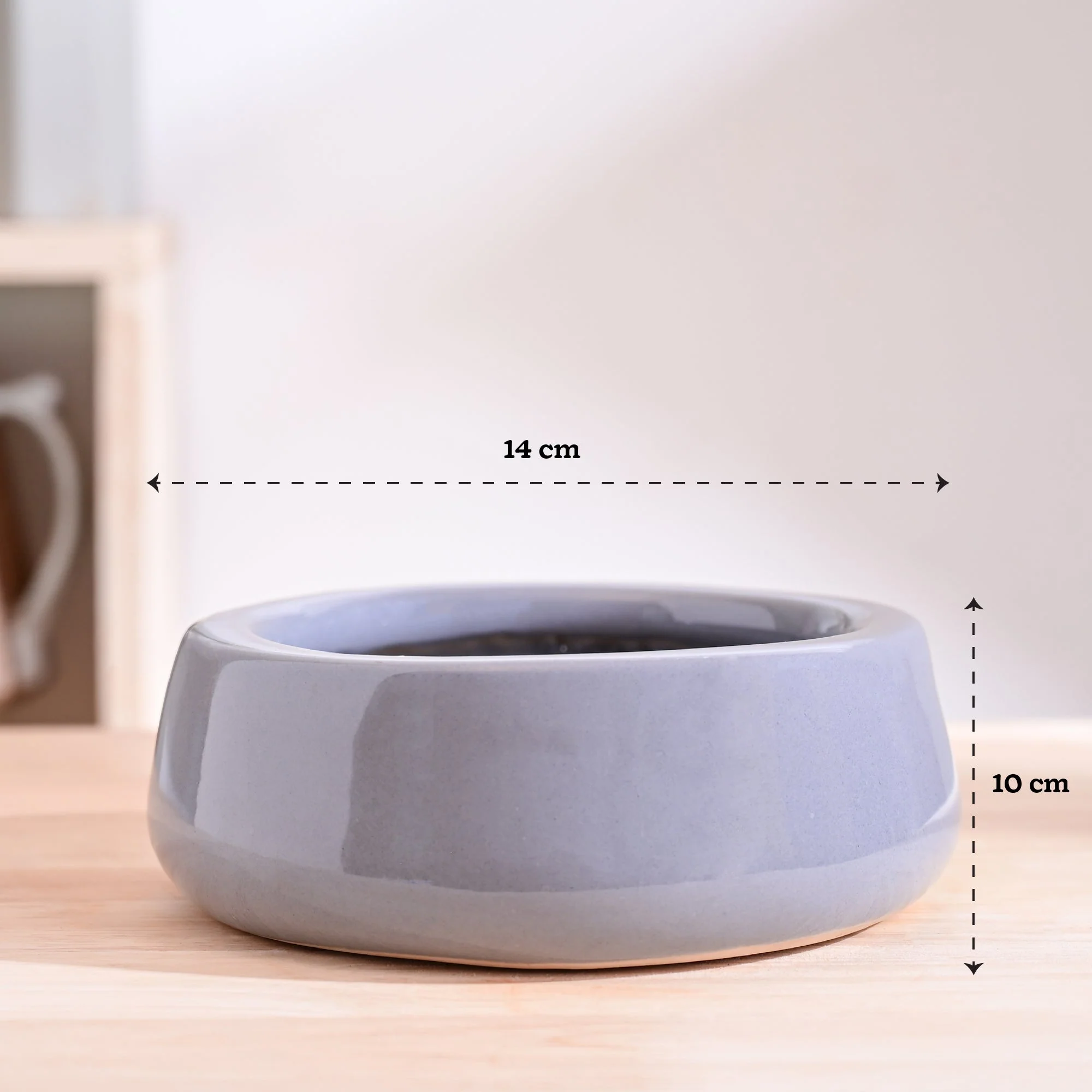 Tulip Fantasy Flat Ceramic Planter - Image 16