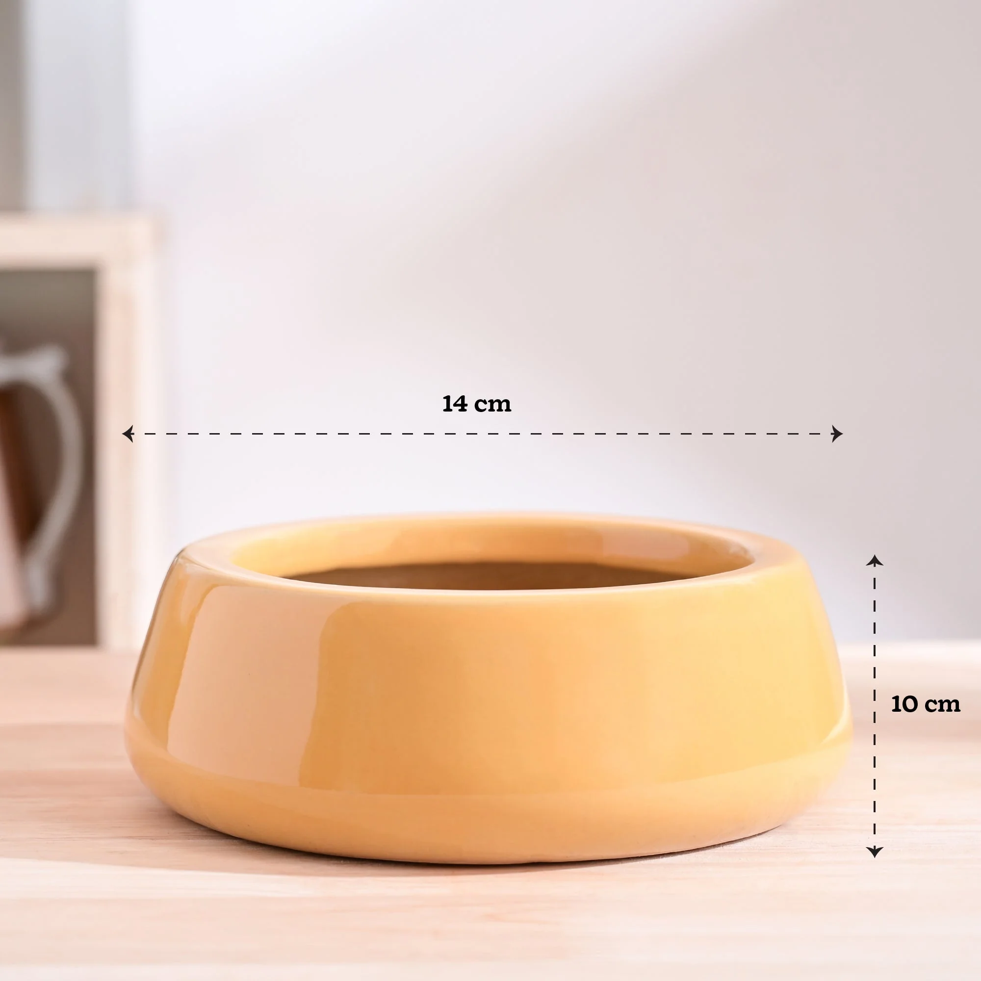 Tulip Fantasy Flat Ceramic Planter - Image 56