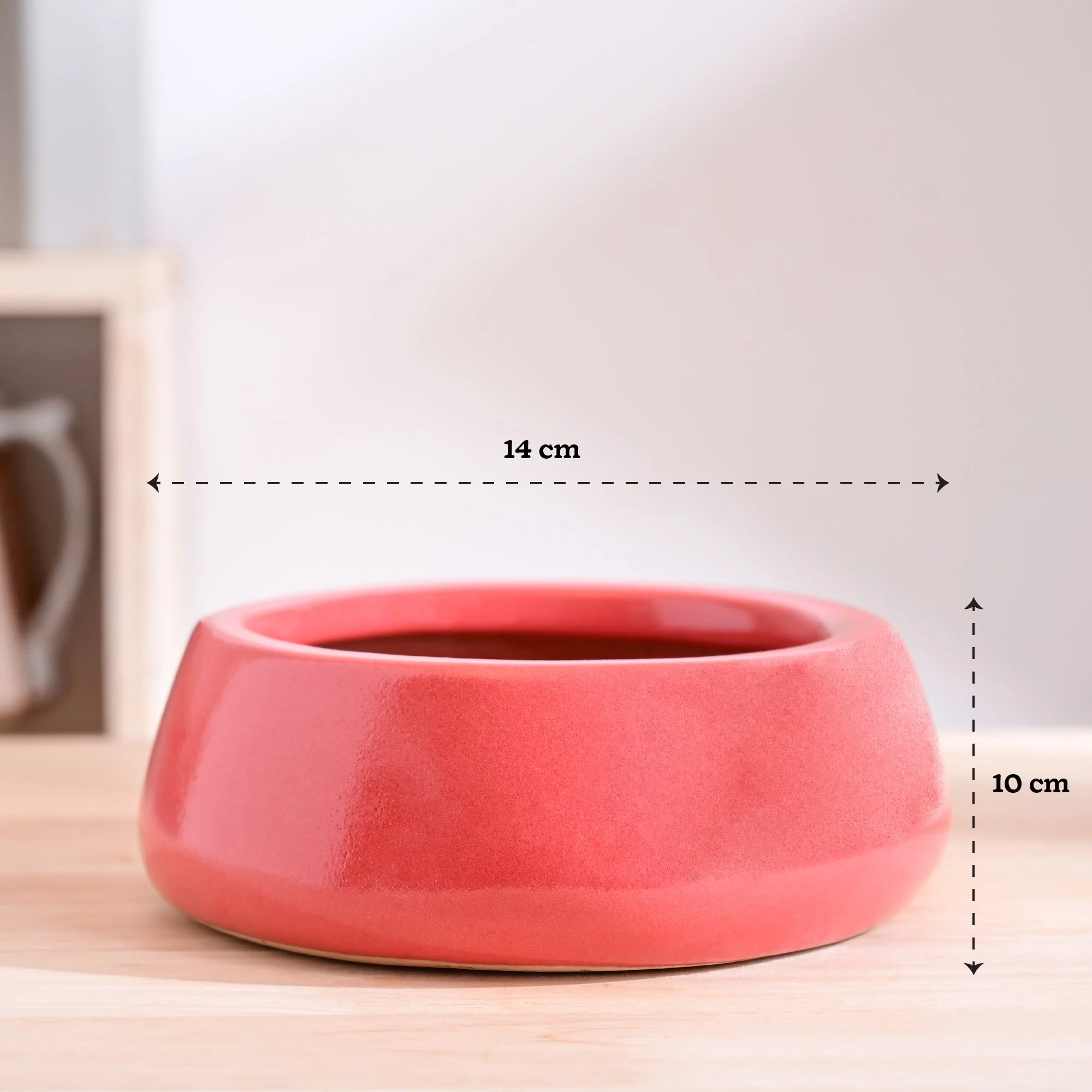 Tulip Fantasy Flat Ceramic Planter - Image 64