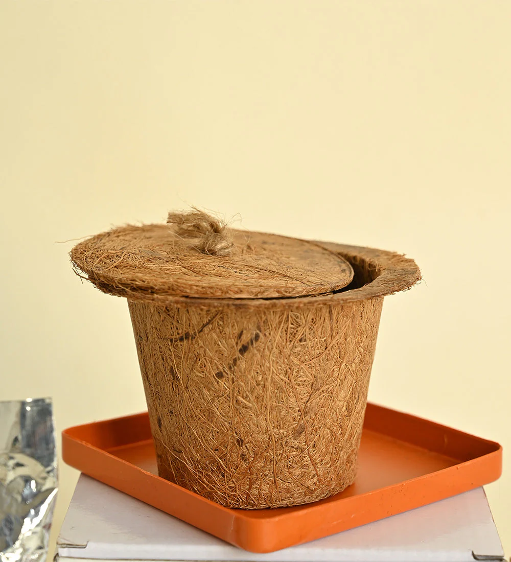 Tulsi Plant DIY Kit Gifting Hamper - Image 5