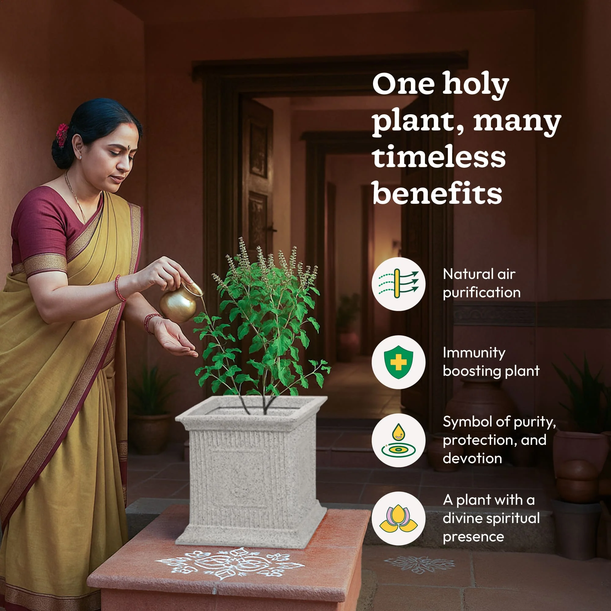 Tulsi Pot for Home - Image 14