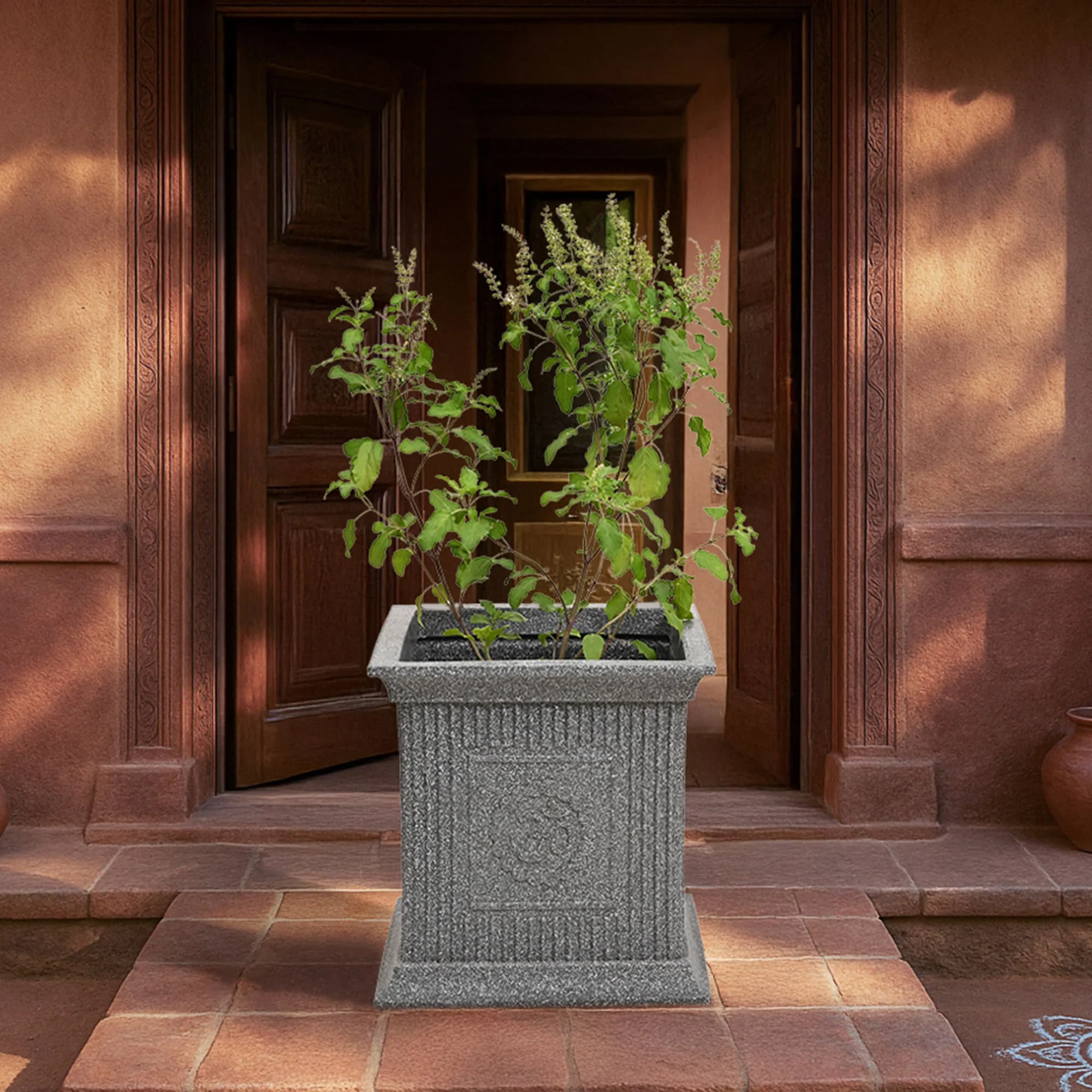Tulsi Pot for Home - Image 17