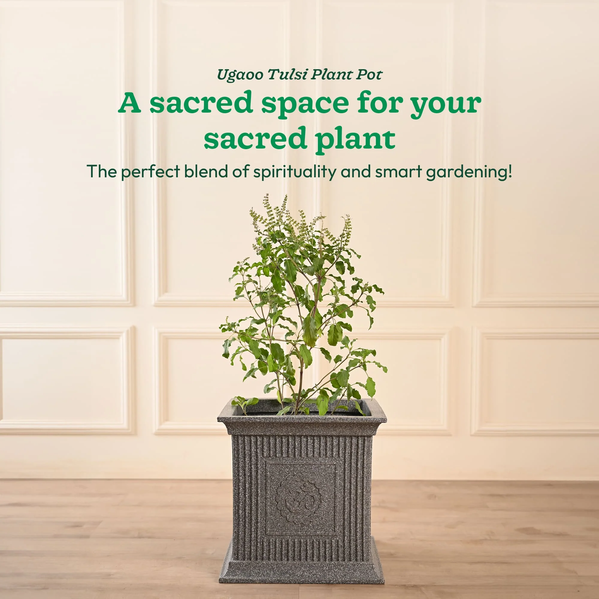 Tulsi Pot for Home - Image 18