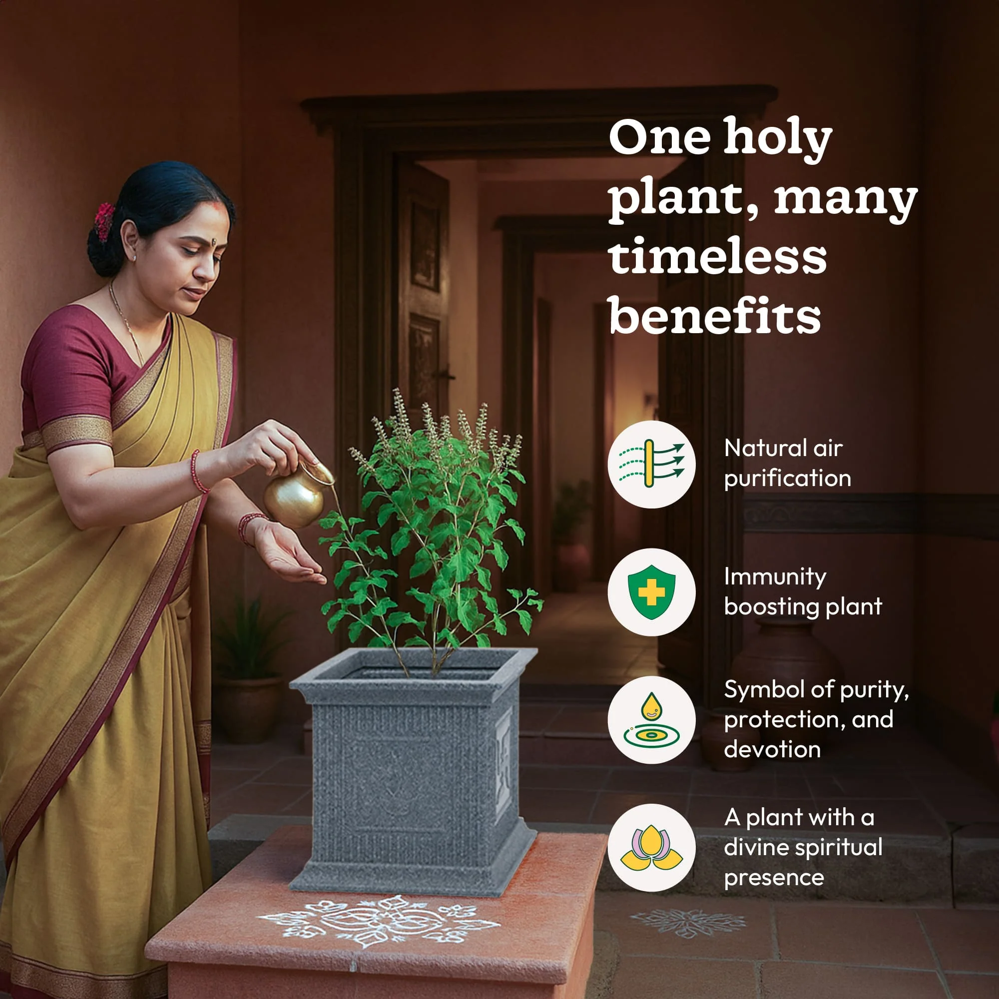 Tulsi Pot for Home - Image 22