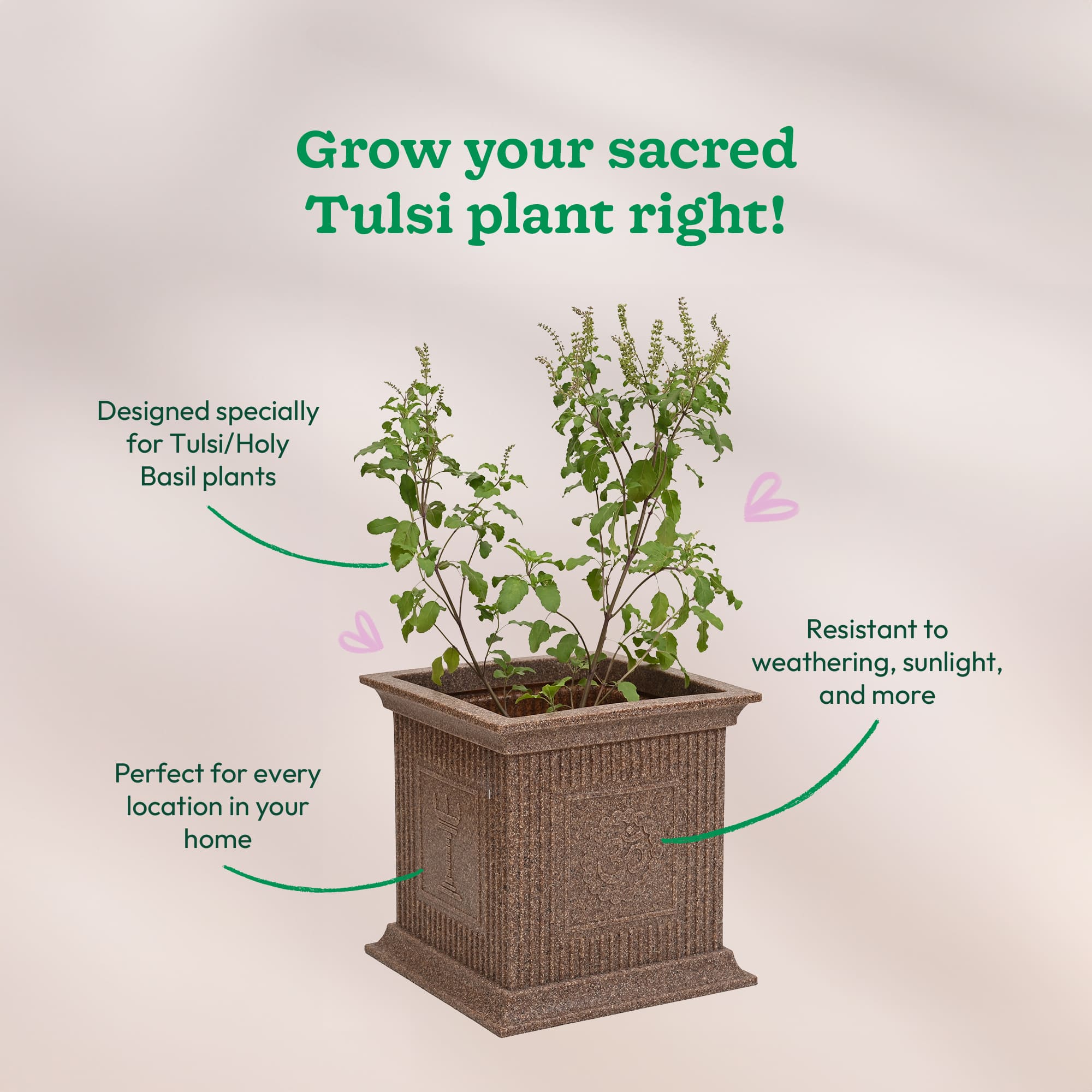 Tulsi Pot for Home - Image 3