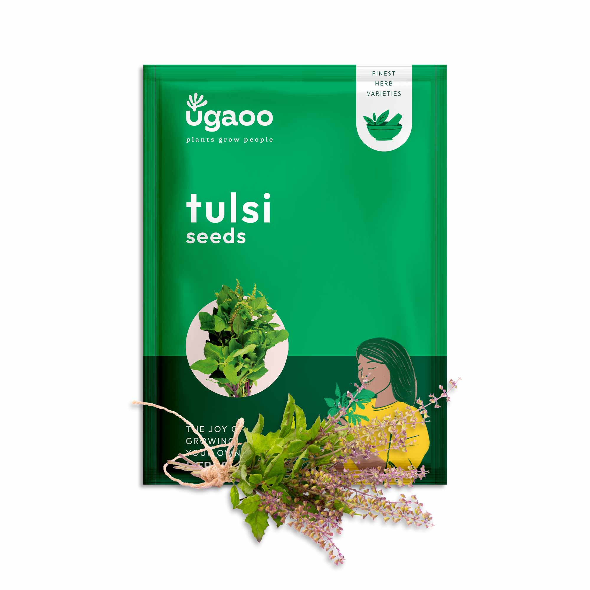 Tulsi Seeds (Holy Basil) - Image 11