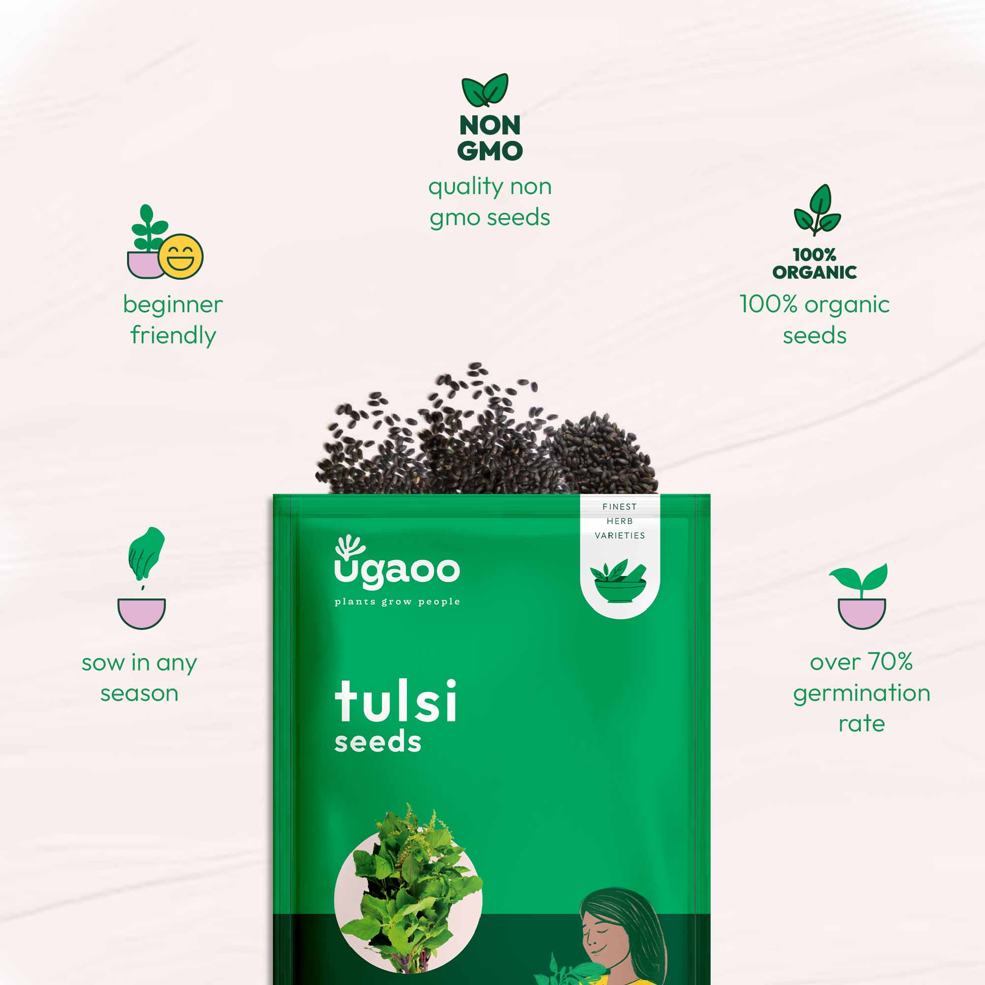 Tulsi Seeds (Holy Basil) - Image 15