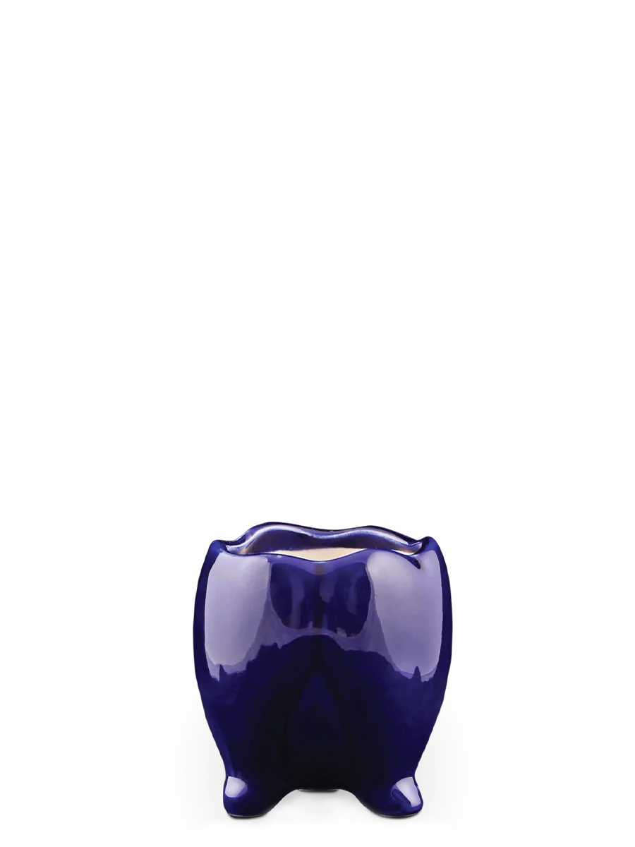 Tusker Ceramic Pot (4 Inch Diameter) - Image 5
