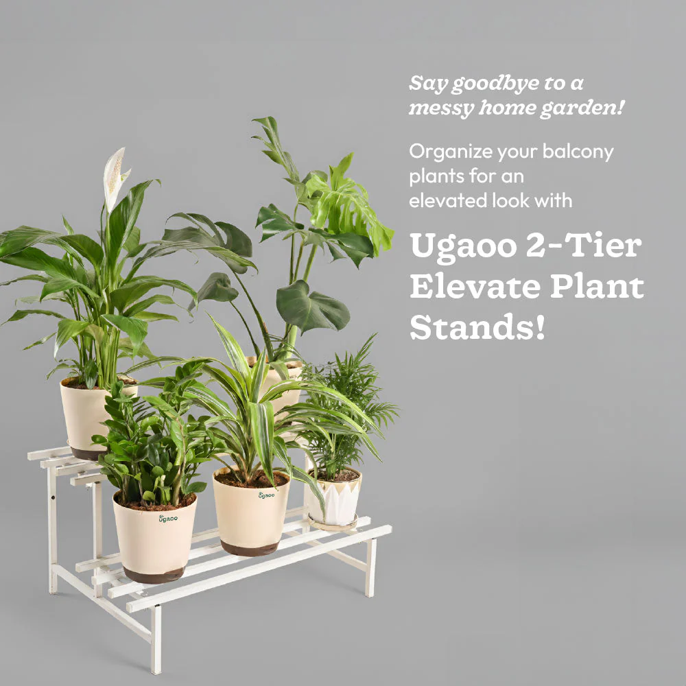 2-Tier Elevate Metal Plant Stand - Image 3