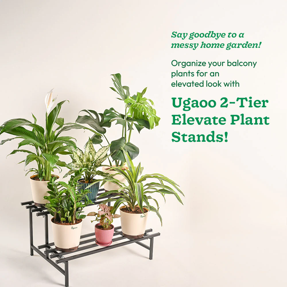 2-Tier Elevate Metal Plant Stand - Image 9