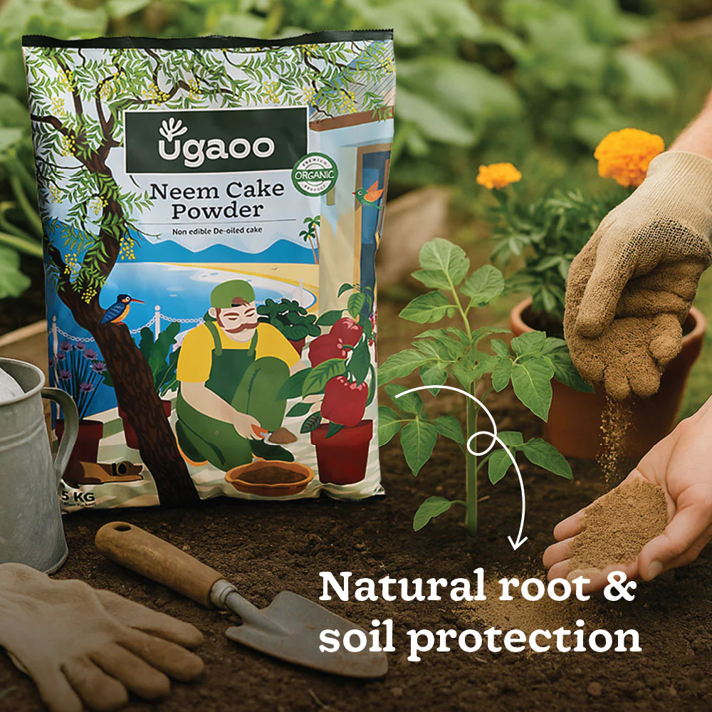 Ugaoo Essential Soil Nutrition Duo - Image 6