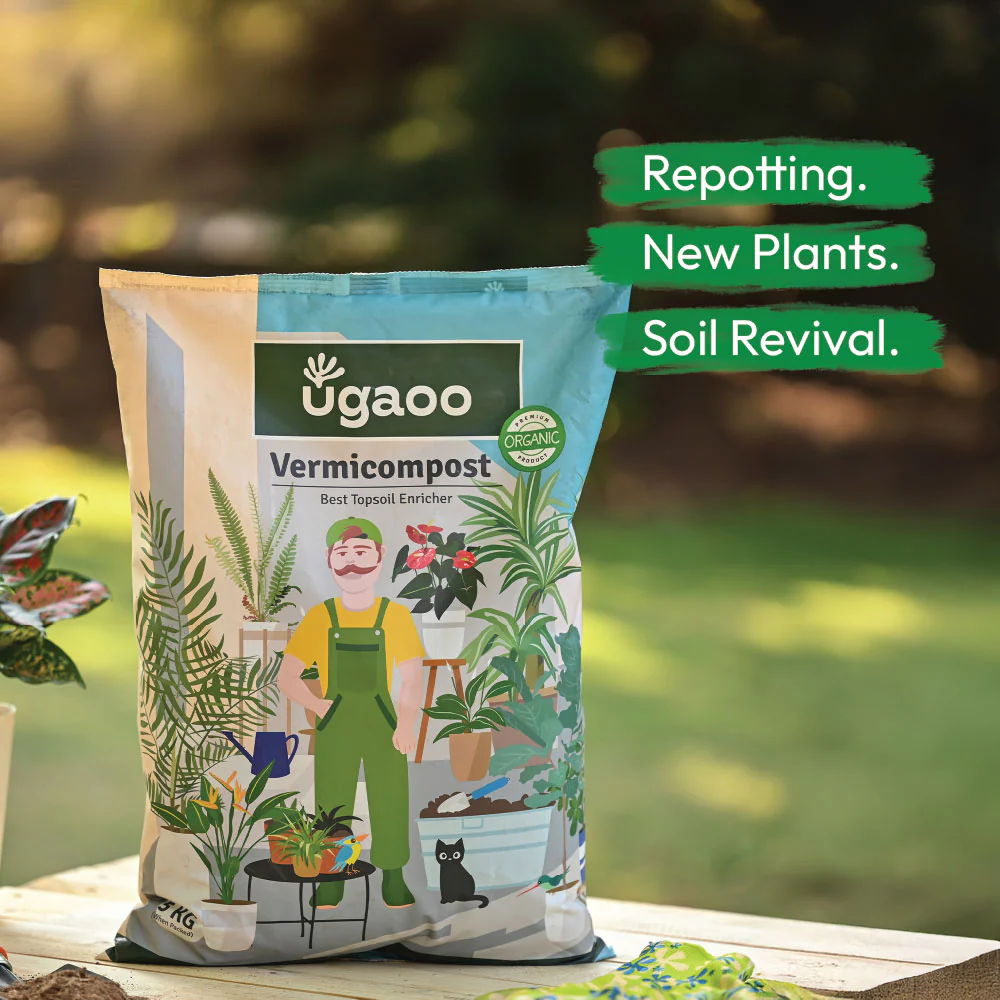 Ugaoo Essential Soil Nutrition Duo - Image 8