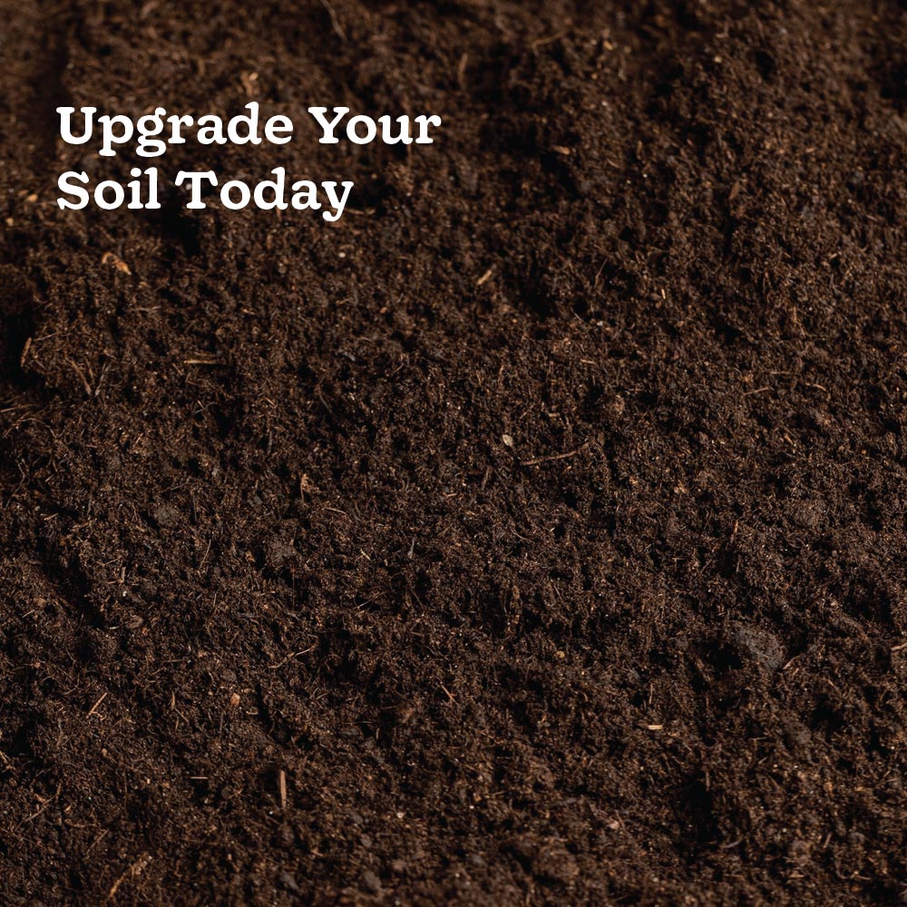 Ugaoo Essential Soil Nutrition Duo - Image 9
