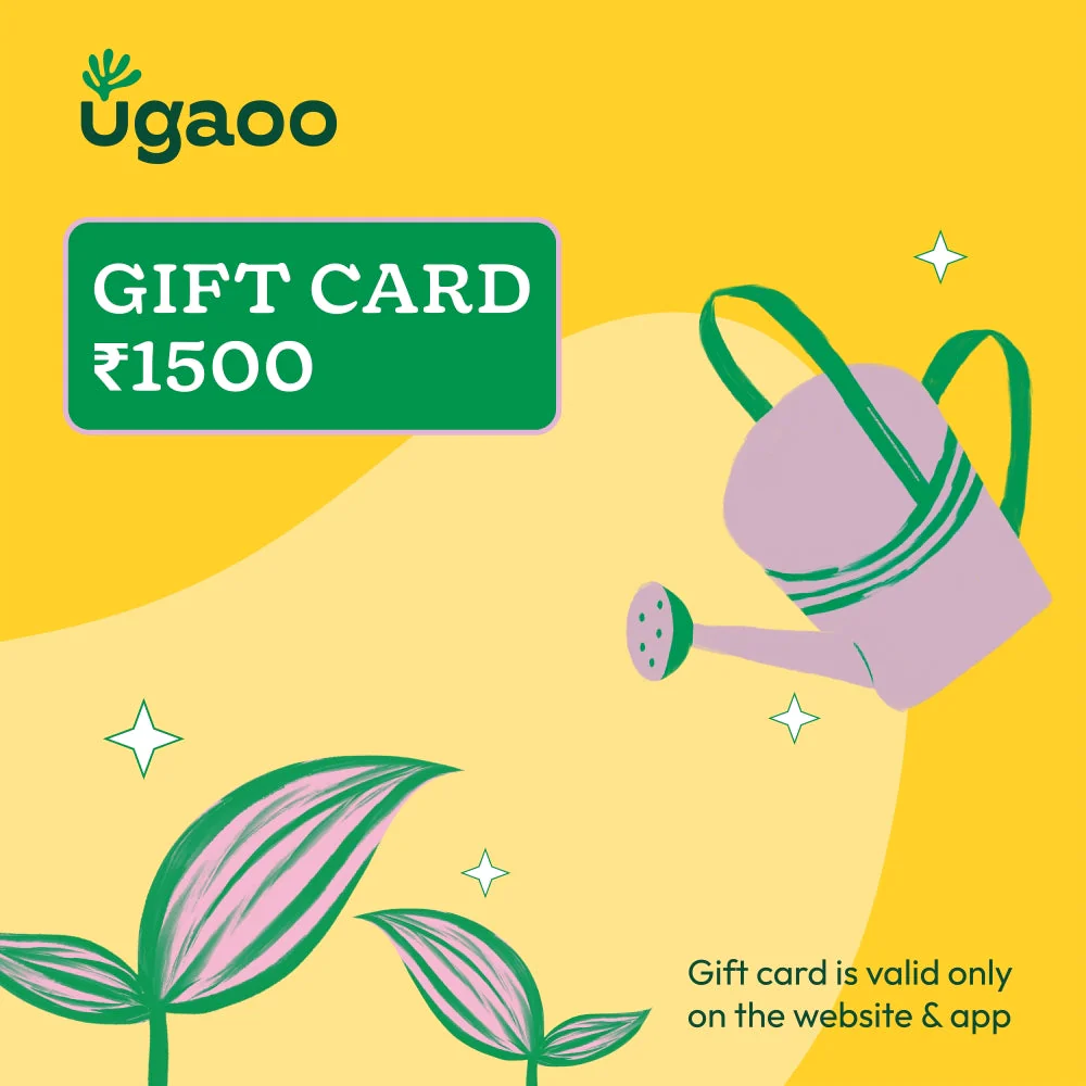 Ugaoo E-Gift Card - Image 3