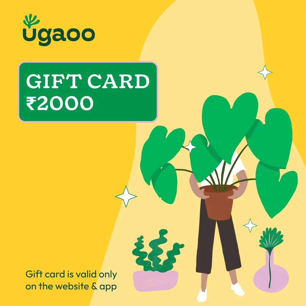 Ugaoo E-Gift Card - Image 4