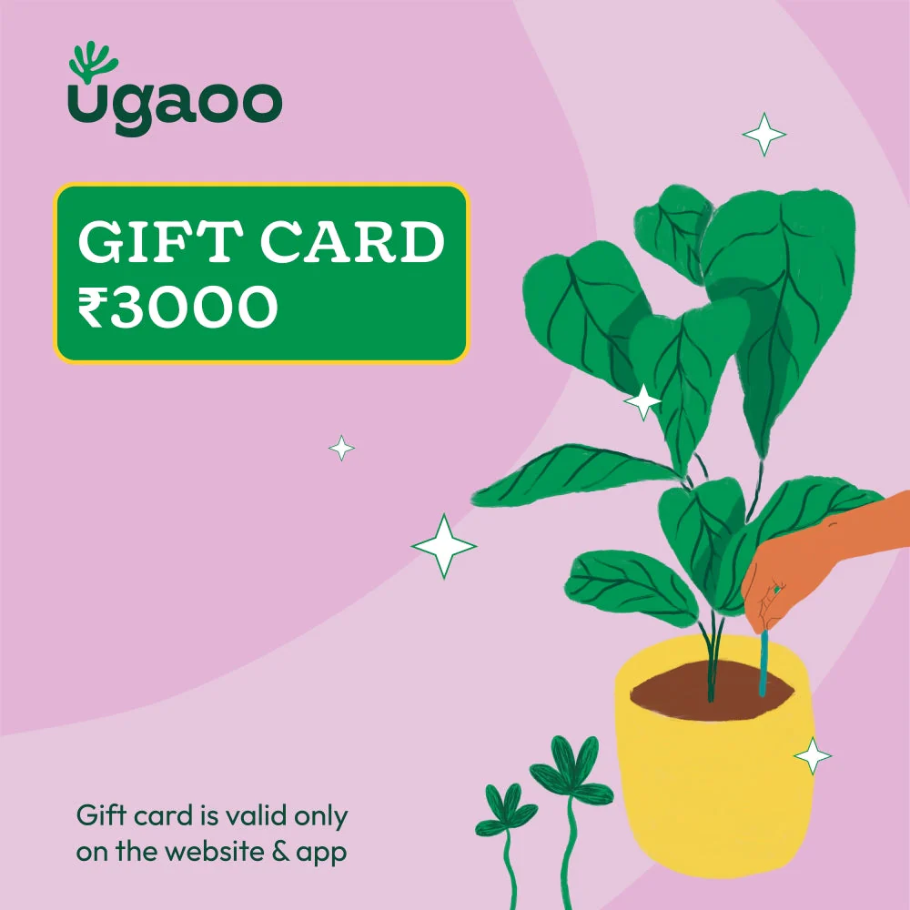 Ugaoo E-Gift Card - Image 5