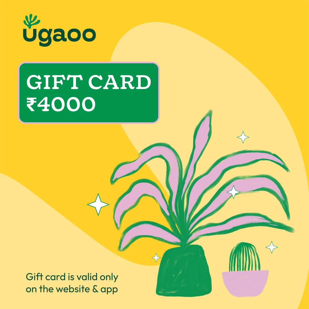 Ugaoo E-Gift Card - Image 6