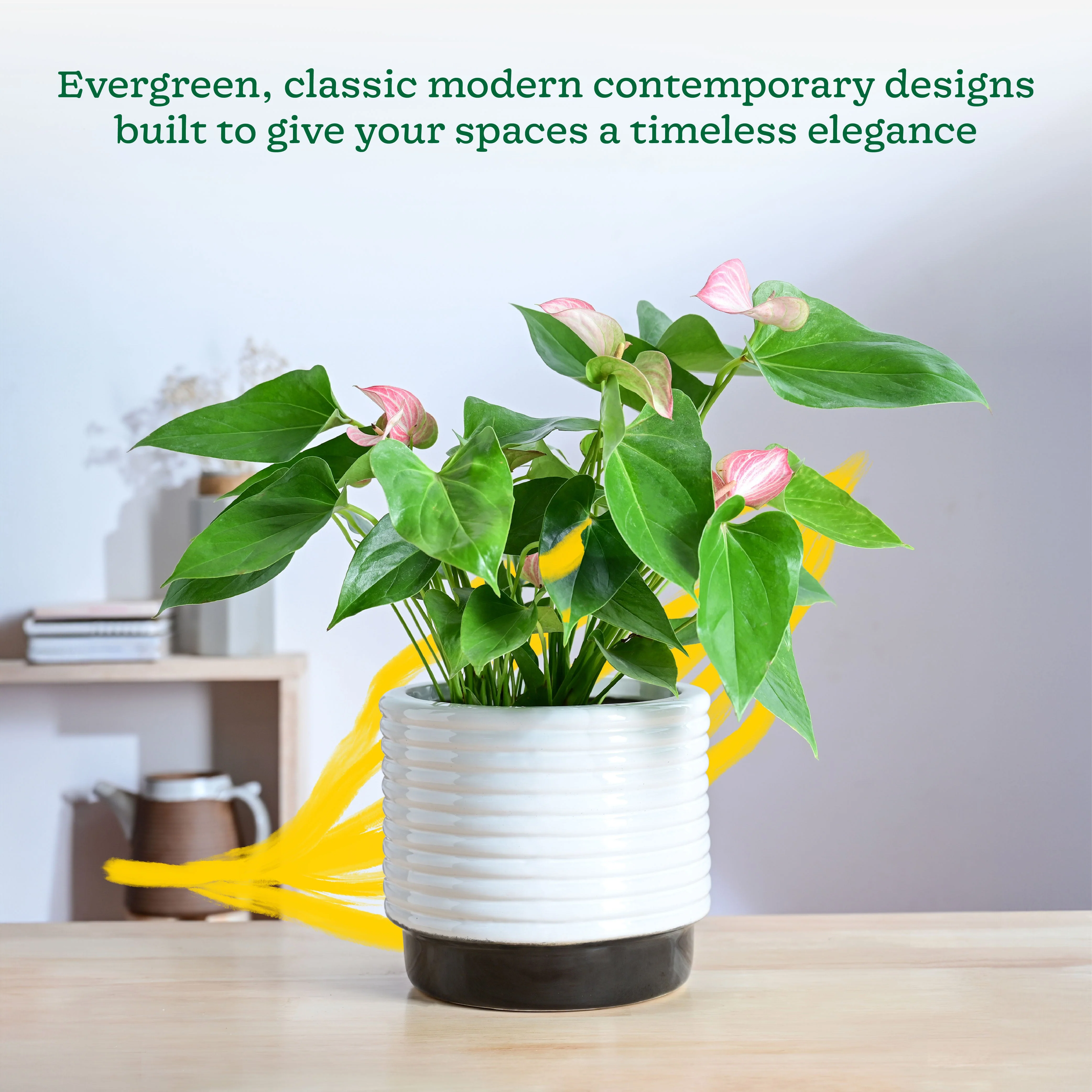 Untold stories Ceramic Planter - Image 2