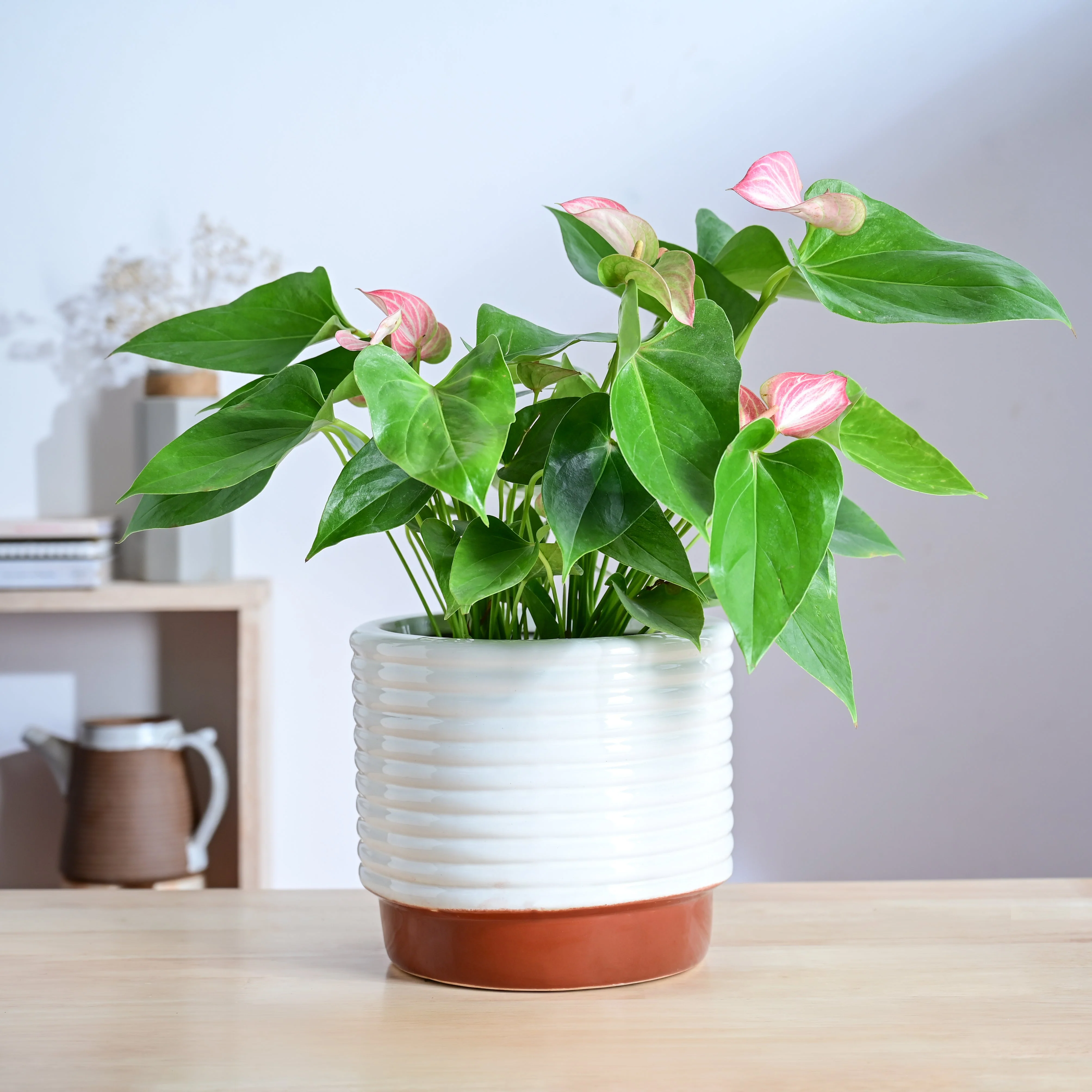 Untold stories Ceramic Planter - Image 9