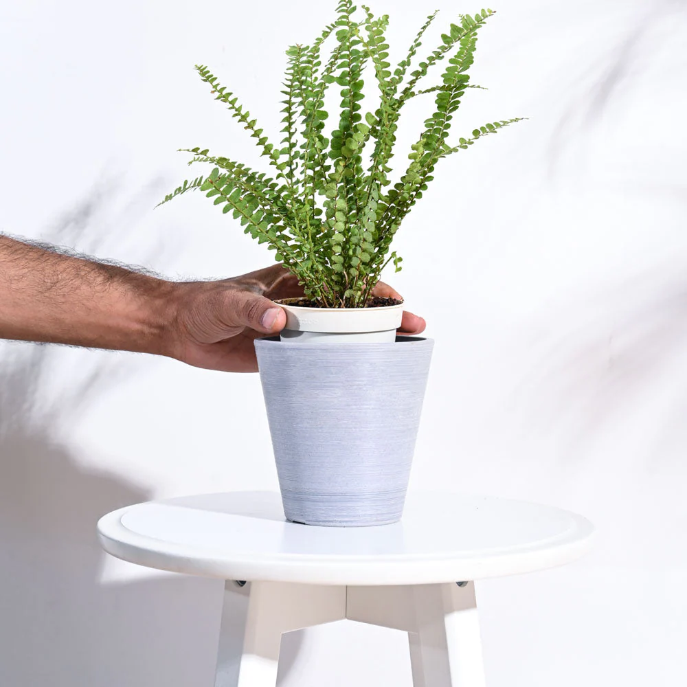 Venice Planter - Image 15