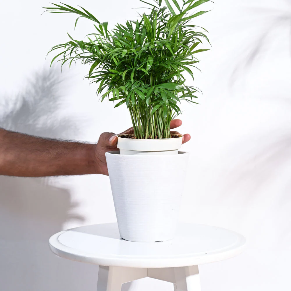 Venice Planter - Image 30