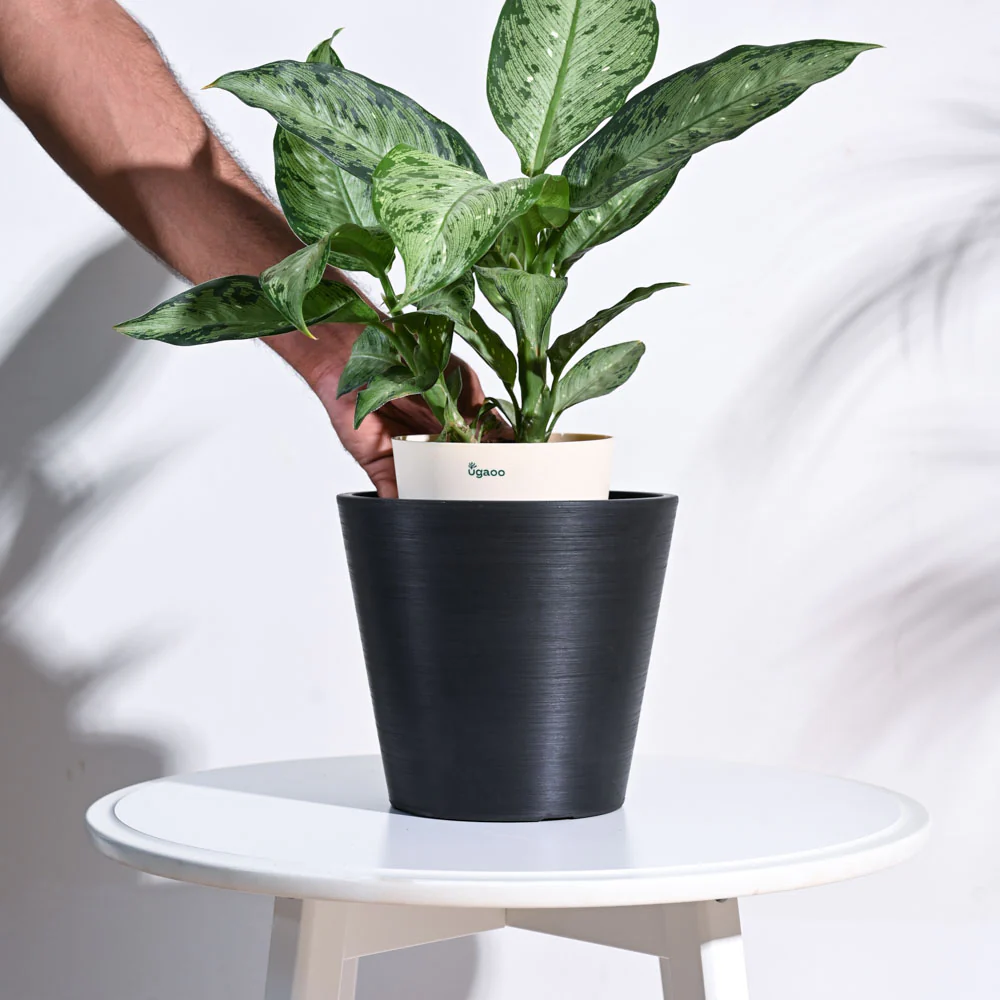 Venice Planter - Image 35