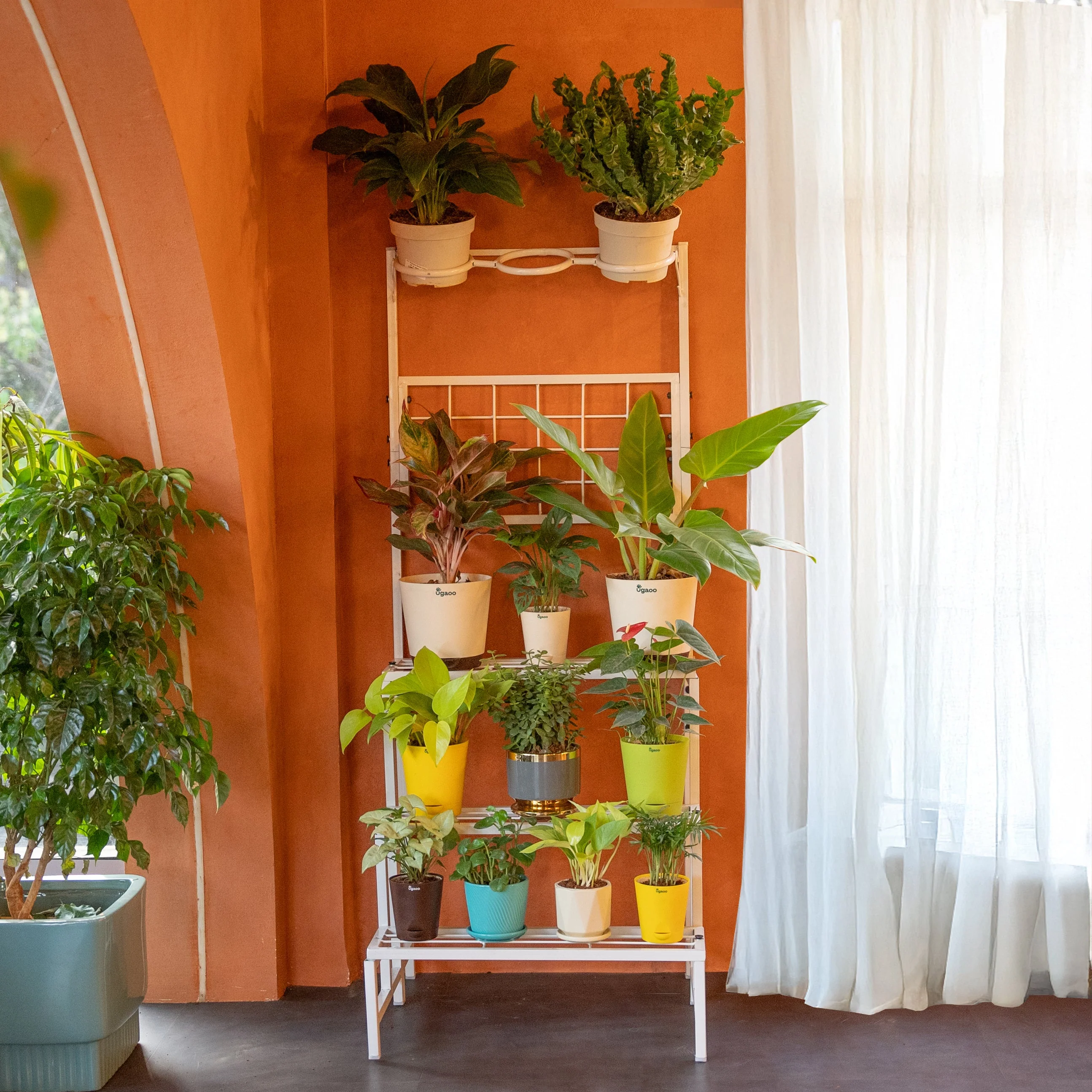 Verdant Metal Plant Stand - Image 10