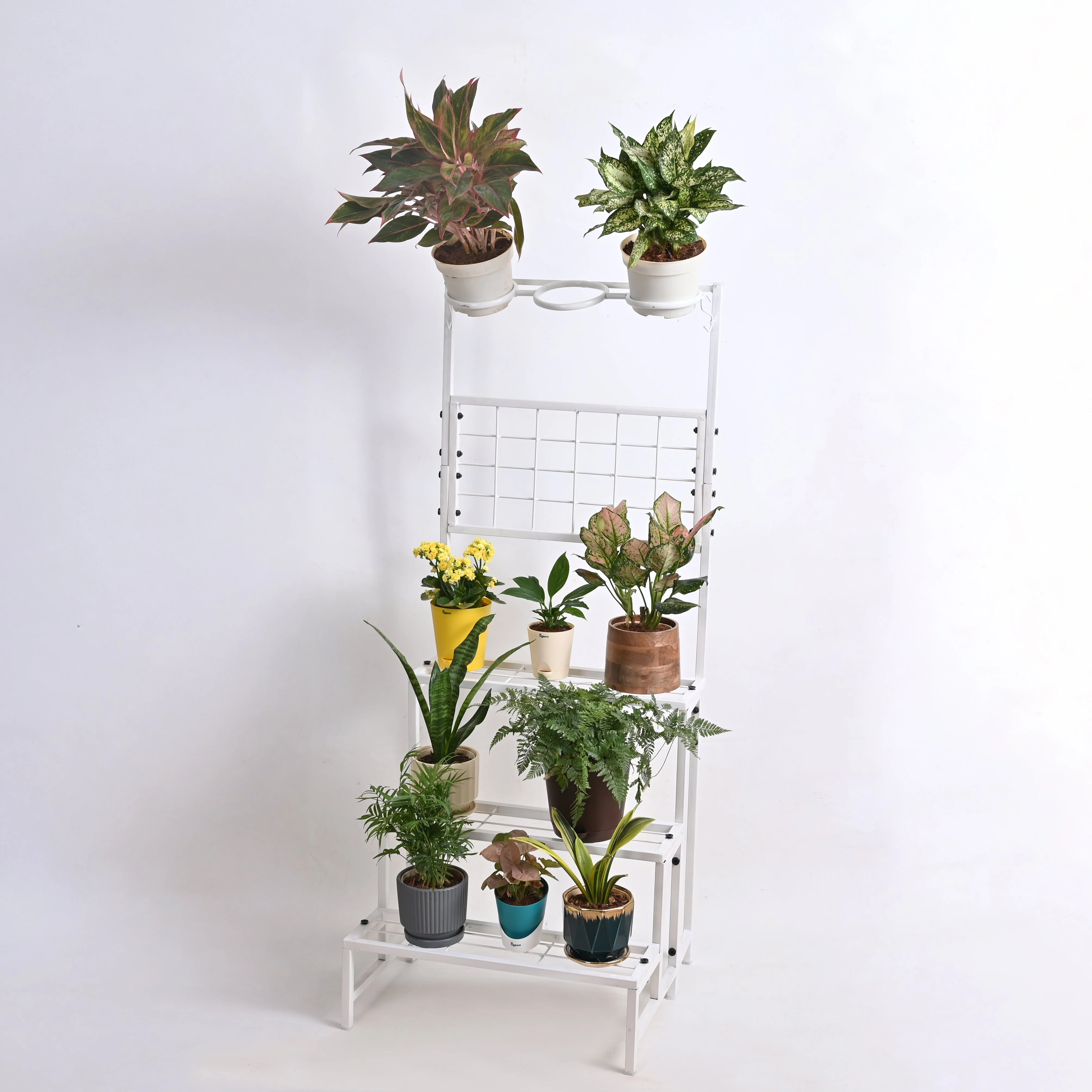 Verdant Metal Plant Stand - Image 11
