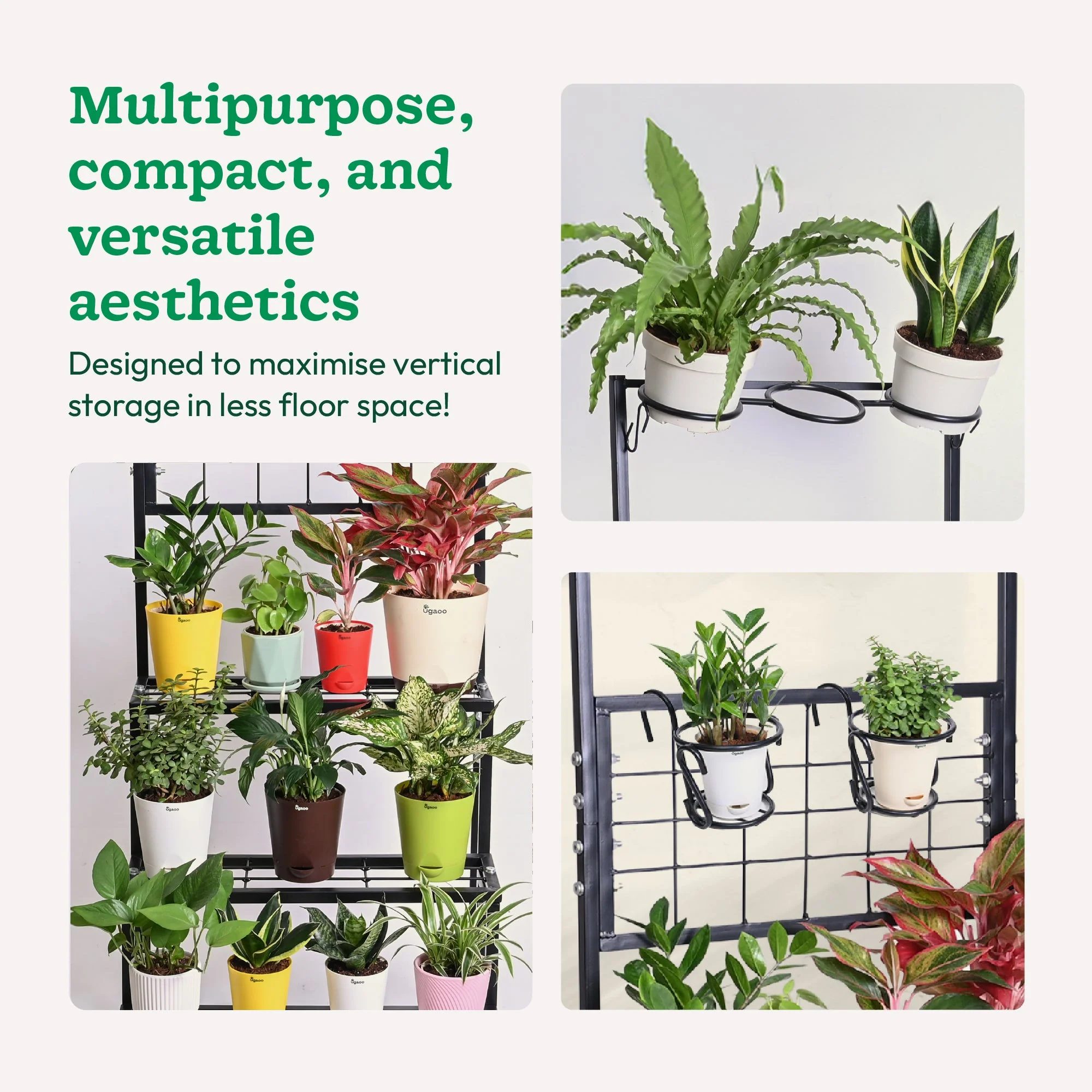 Verdant Metal Plant Stand - Image 3