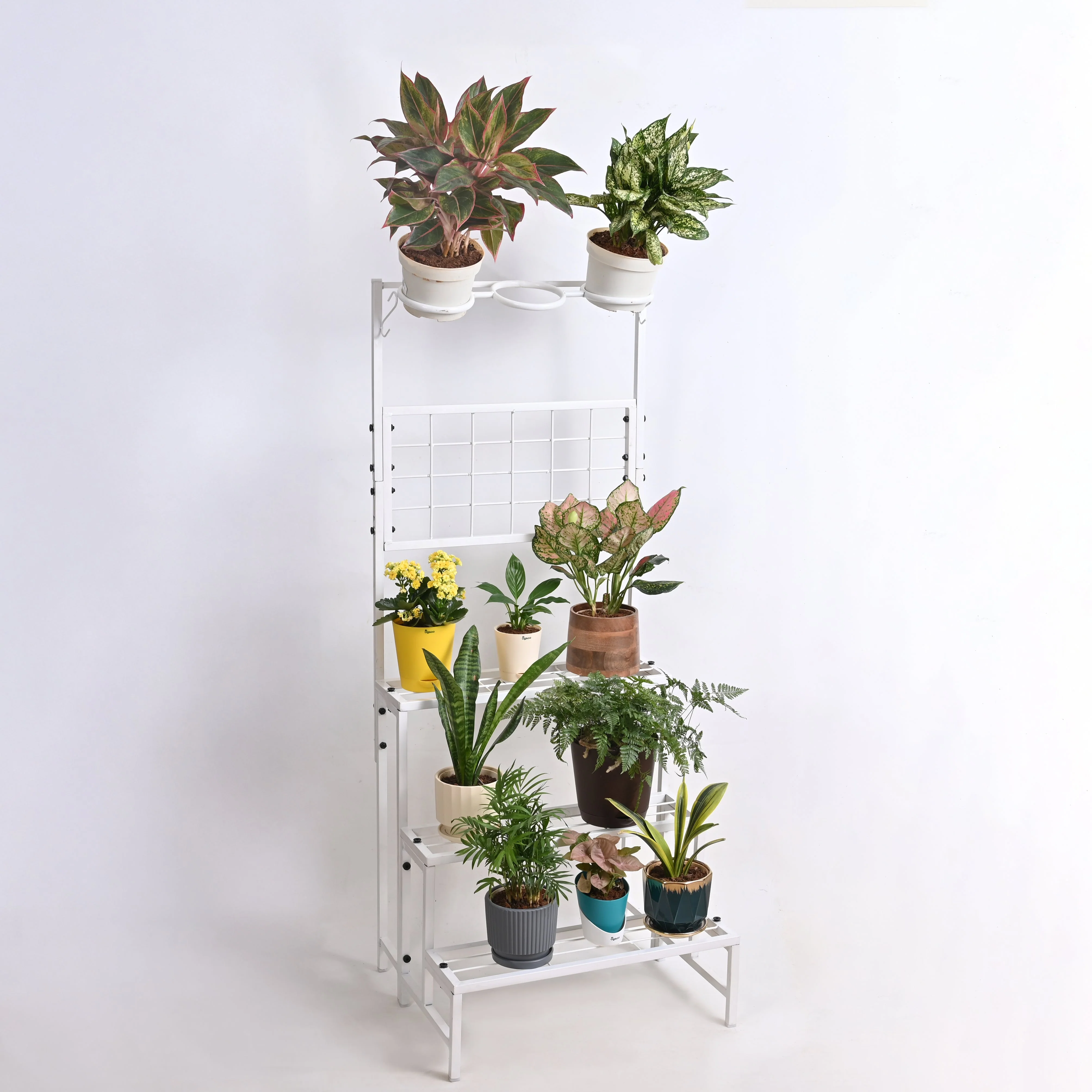 Verdant Metal Plant Stand - Image 9