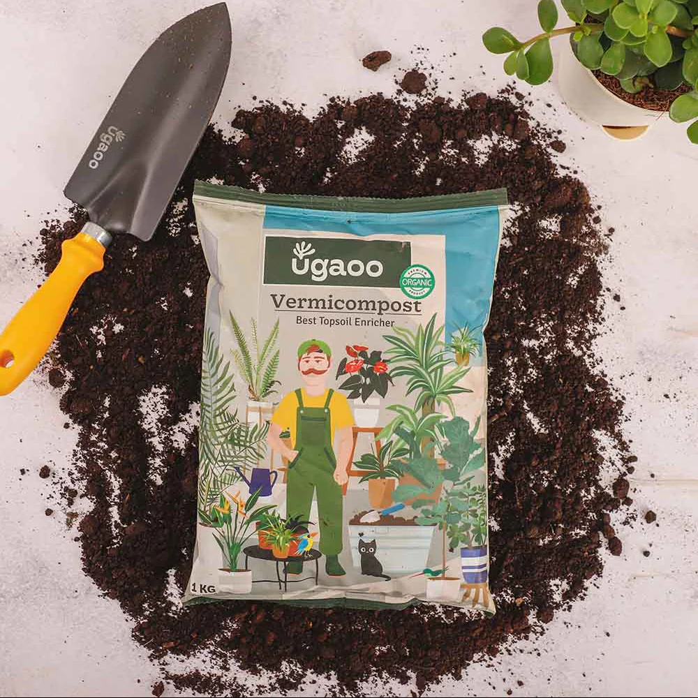Vermicompost - Image 15