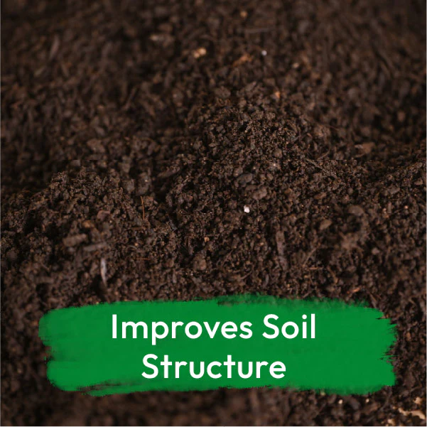 Vermicompost - Image 5