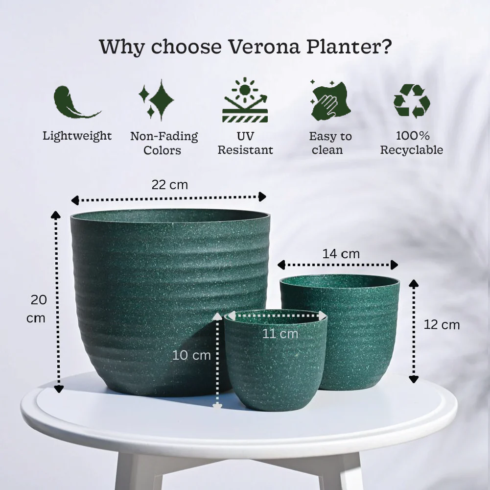 Verona Eco Planter - Set of 3 - Image 20