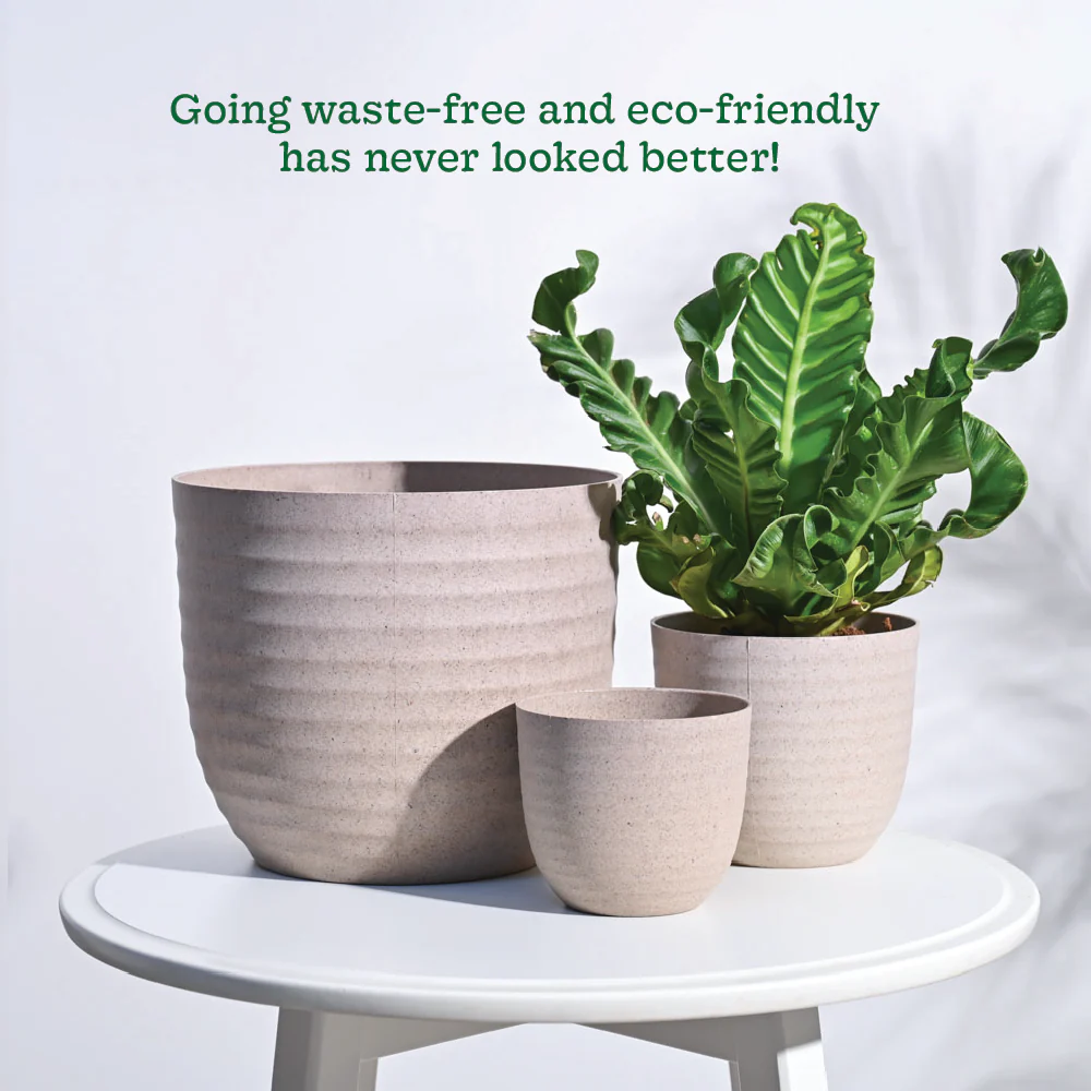 Verona Eco Planter - Set of 3 - Image 30