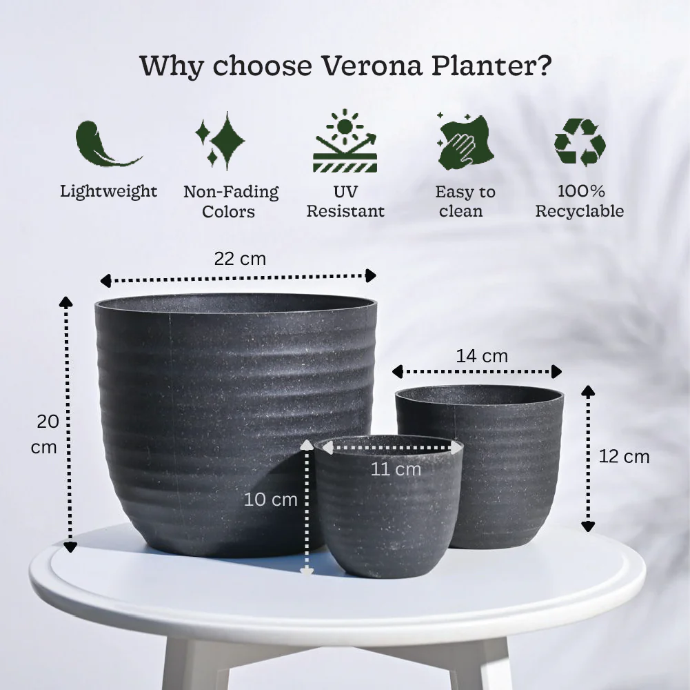 Verona Eco Planter - Set of 3 - Image 6