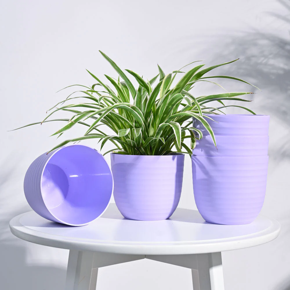 Verona Planter - Image 12