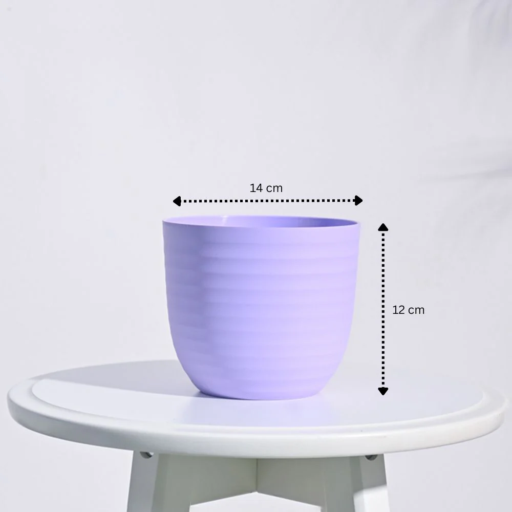 Verona Planter - Image 14
