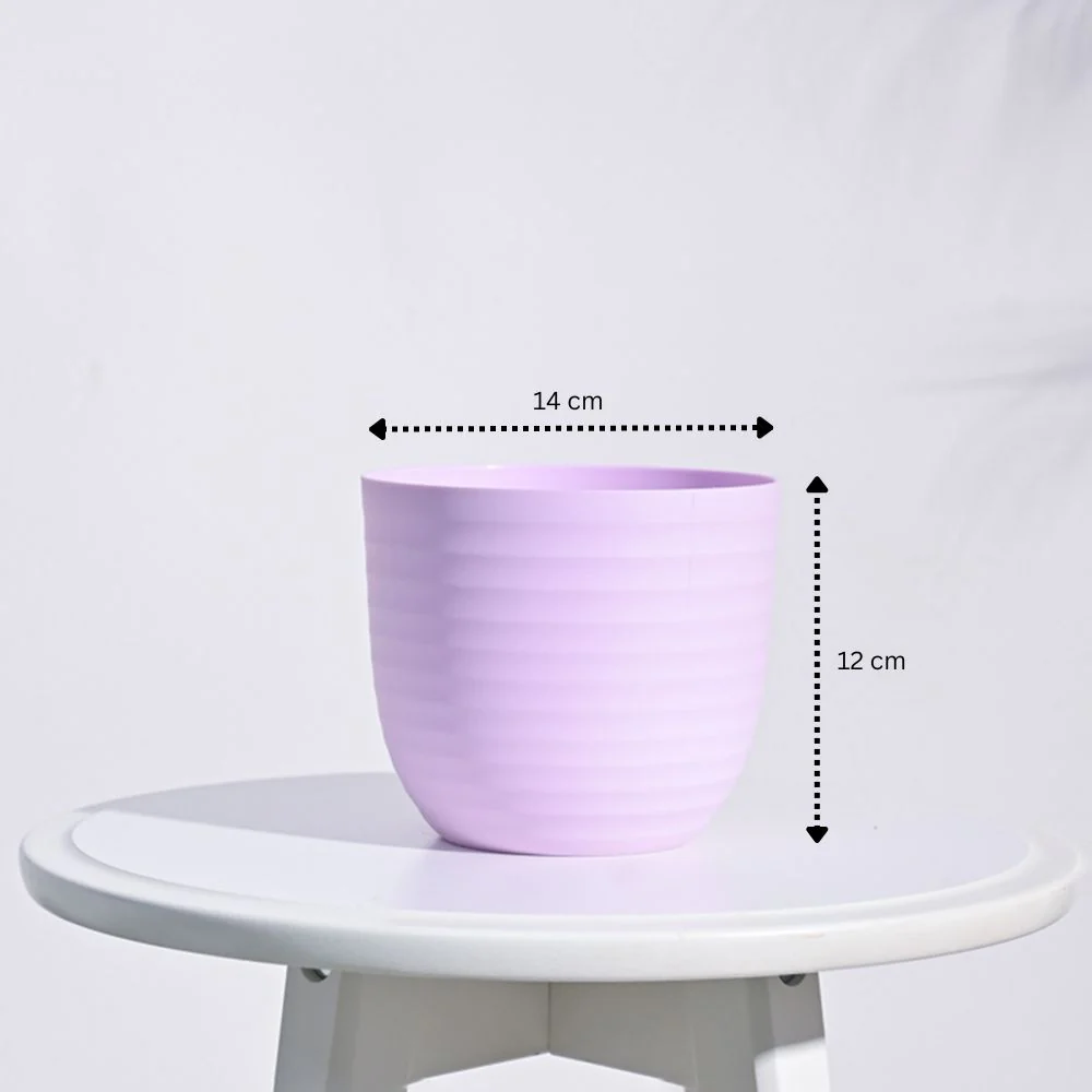 Verona Planter - Image 24