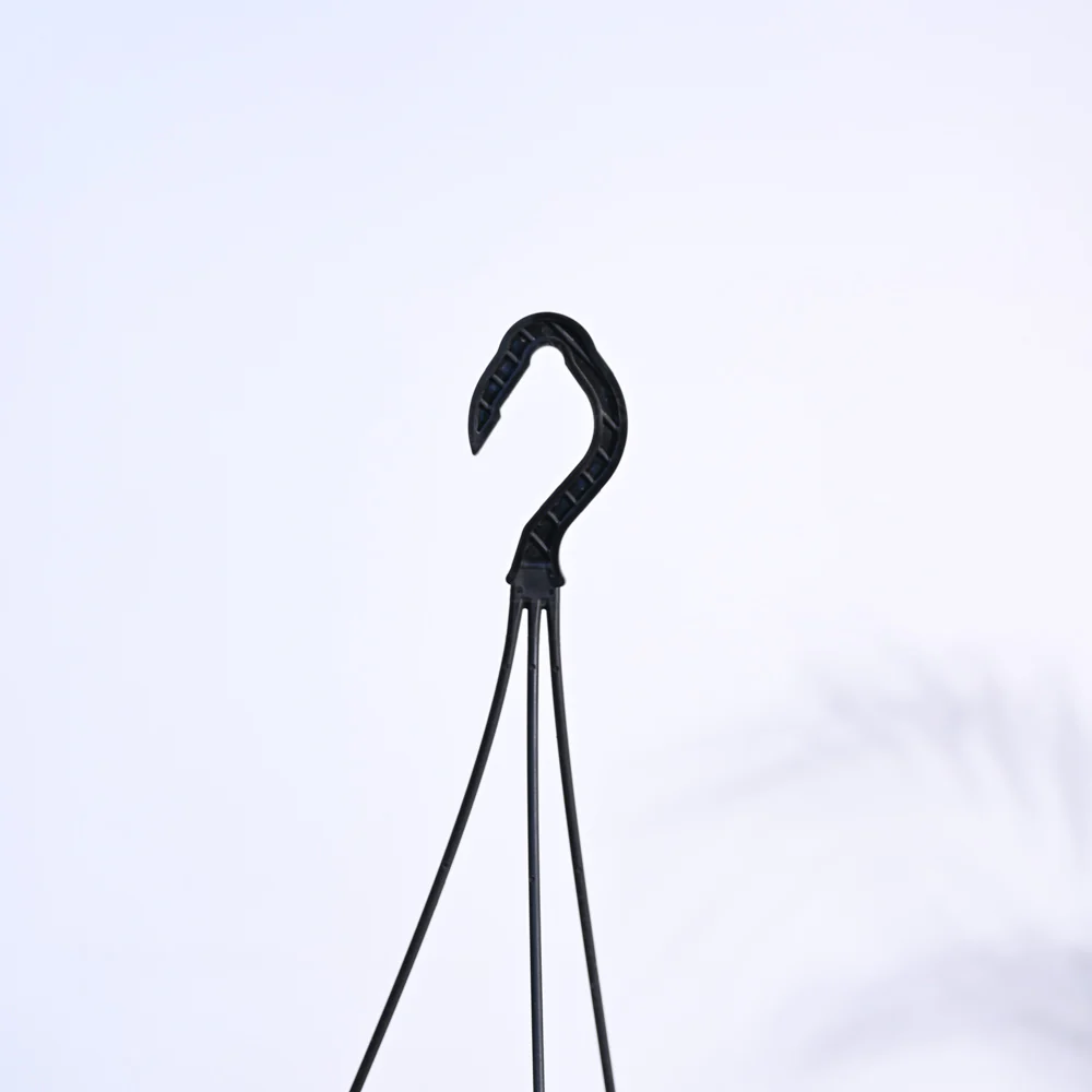 Trailing Jade(Weeping Jade) With Hanging Pot - Image 6