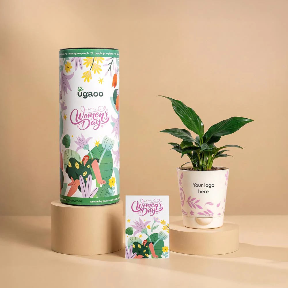 Women’s Day Corporate Plant Gift – Peace Lily