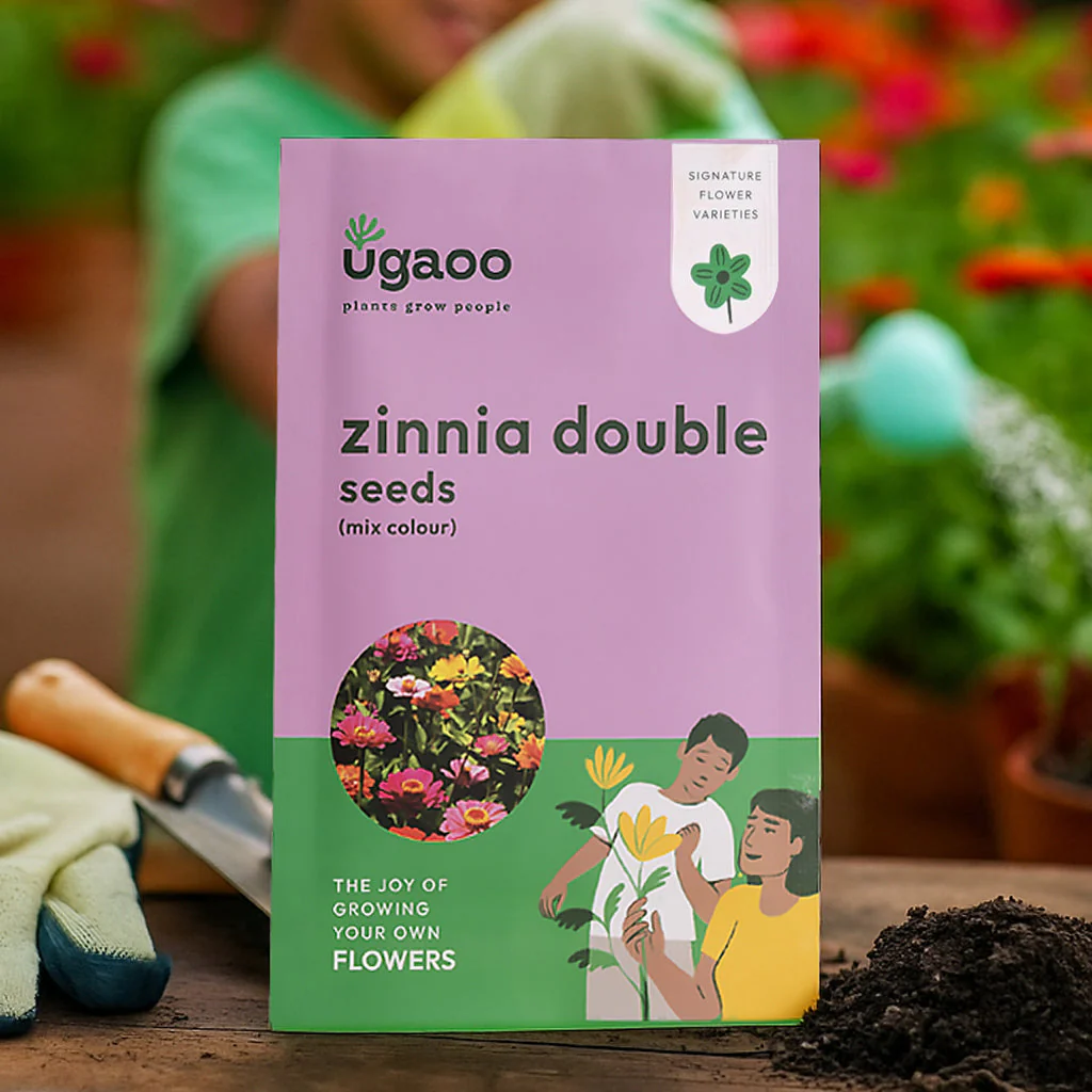 Zinnia Double Mix Seeds - Image 2