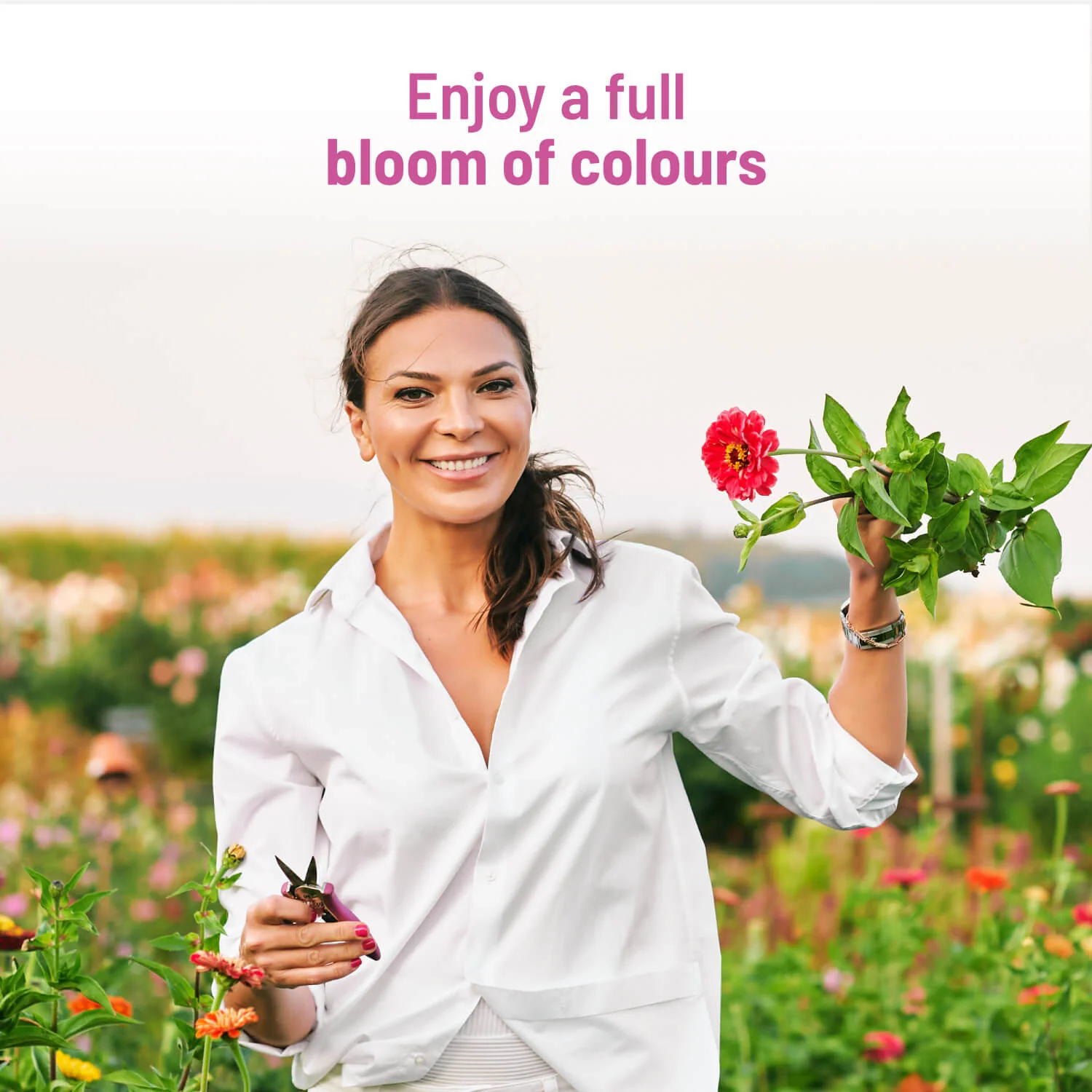 Zinnia Grow Kit - Image 5