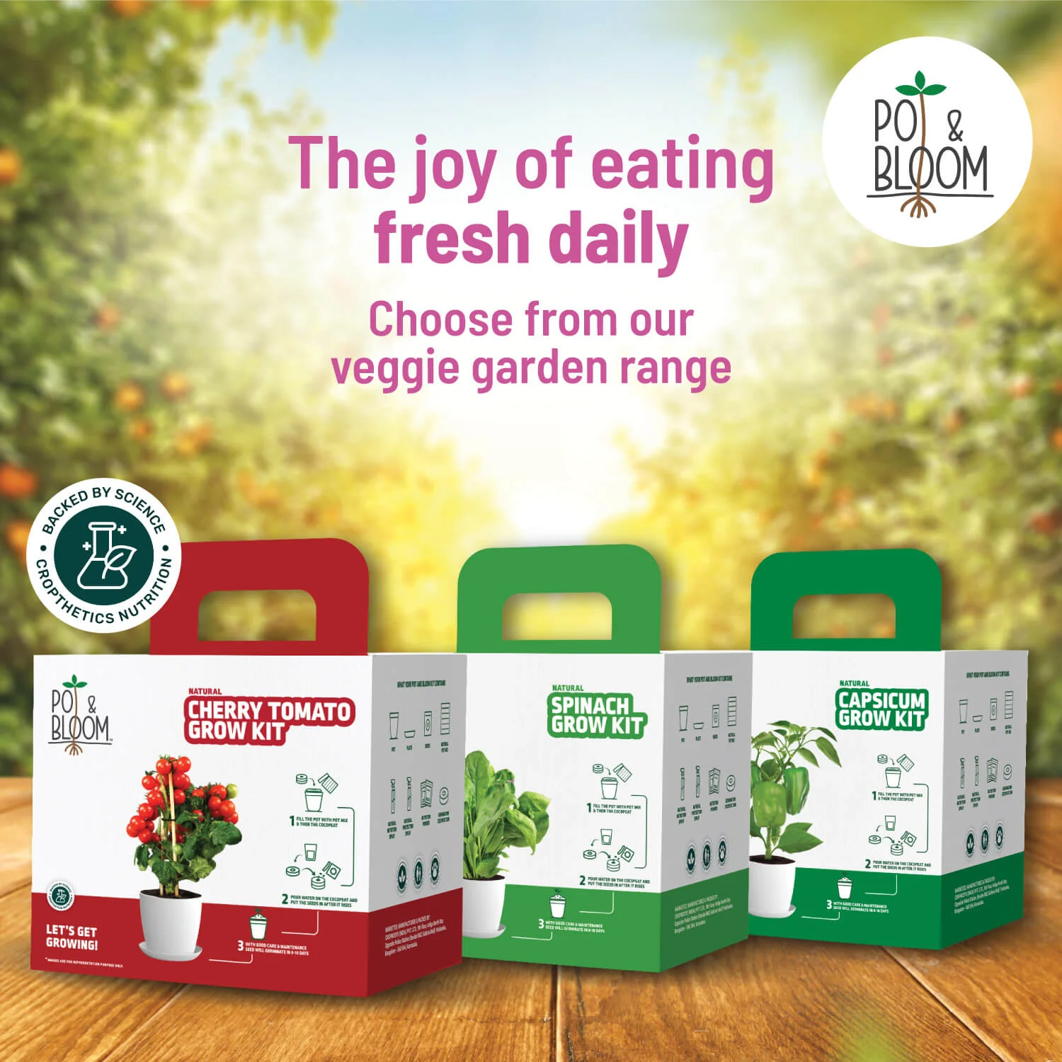Zinnia Grow Kit - Image 6