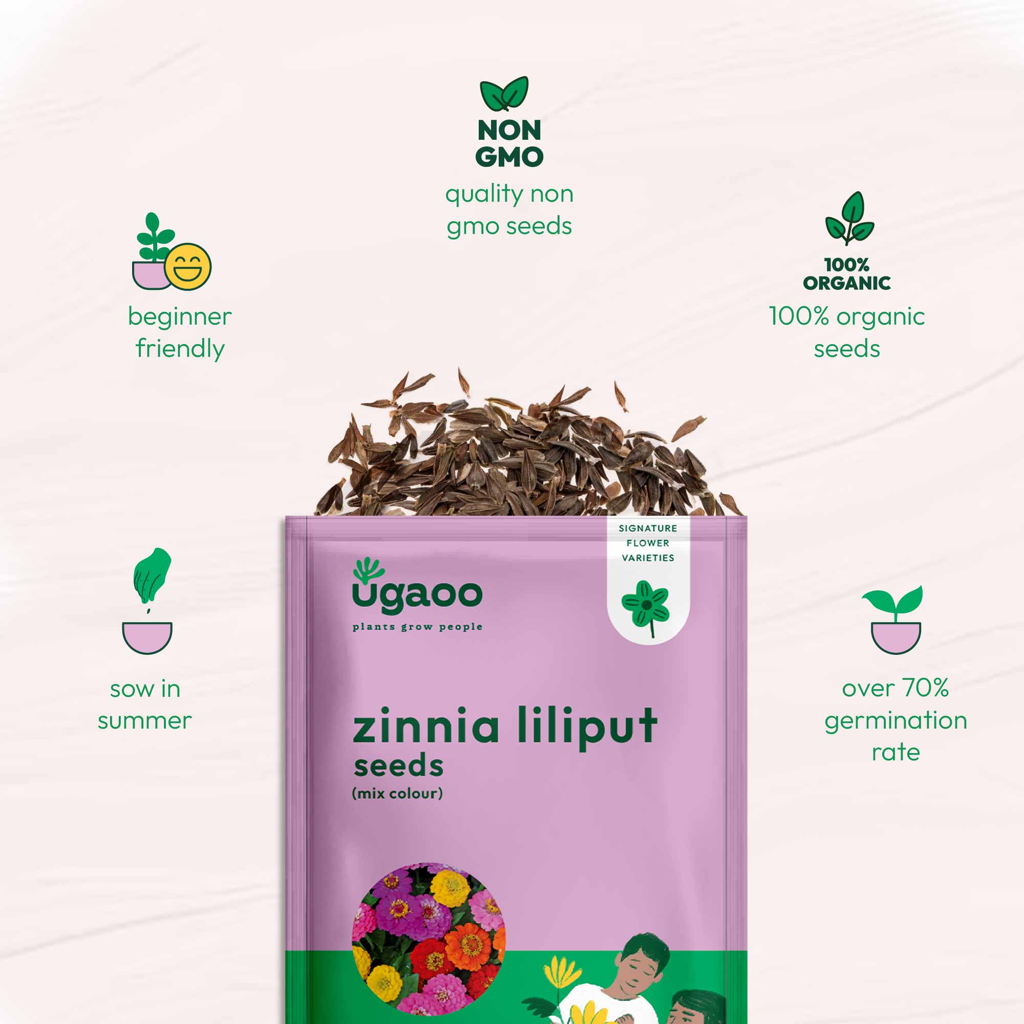 Zinnia Lilliput Mix Seeds - Image 6