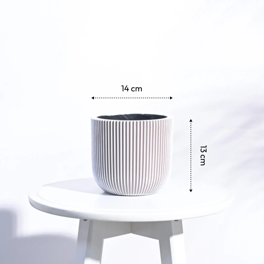 Zuri Planter Ball Groove - Image 21