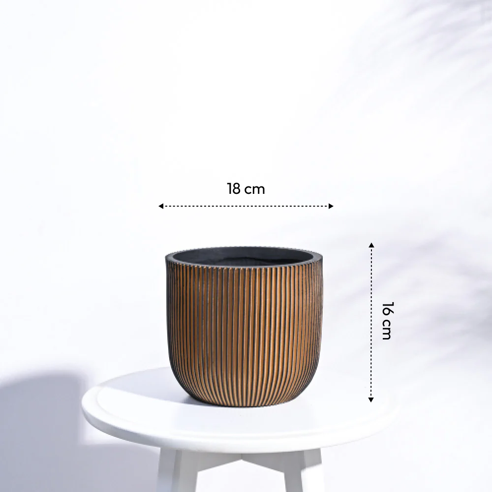 Zuri Planter Ball Groove - Image 33