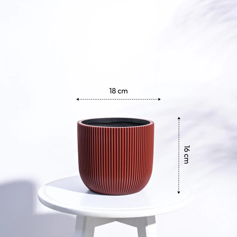 Zuri Planter Ball Groove - Image 39